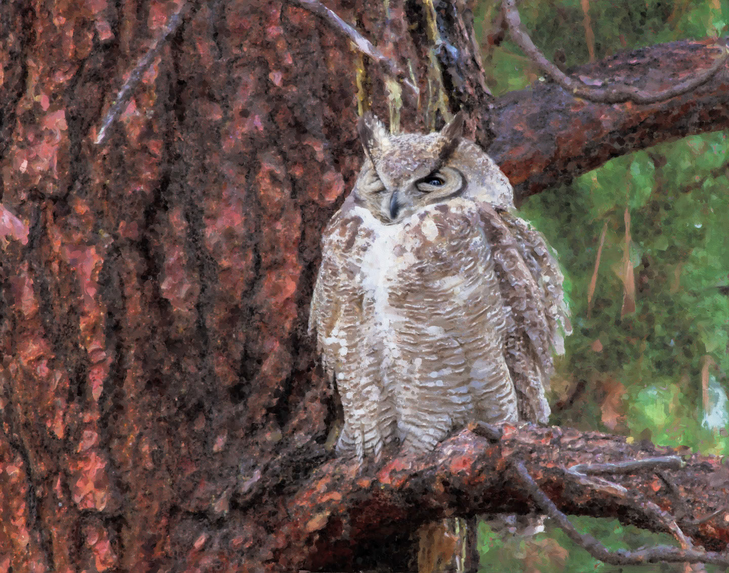 141201.Owl-005.2.7Sty.Mix.jpg
