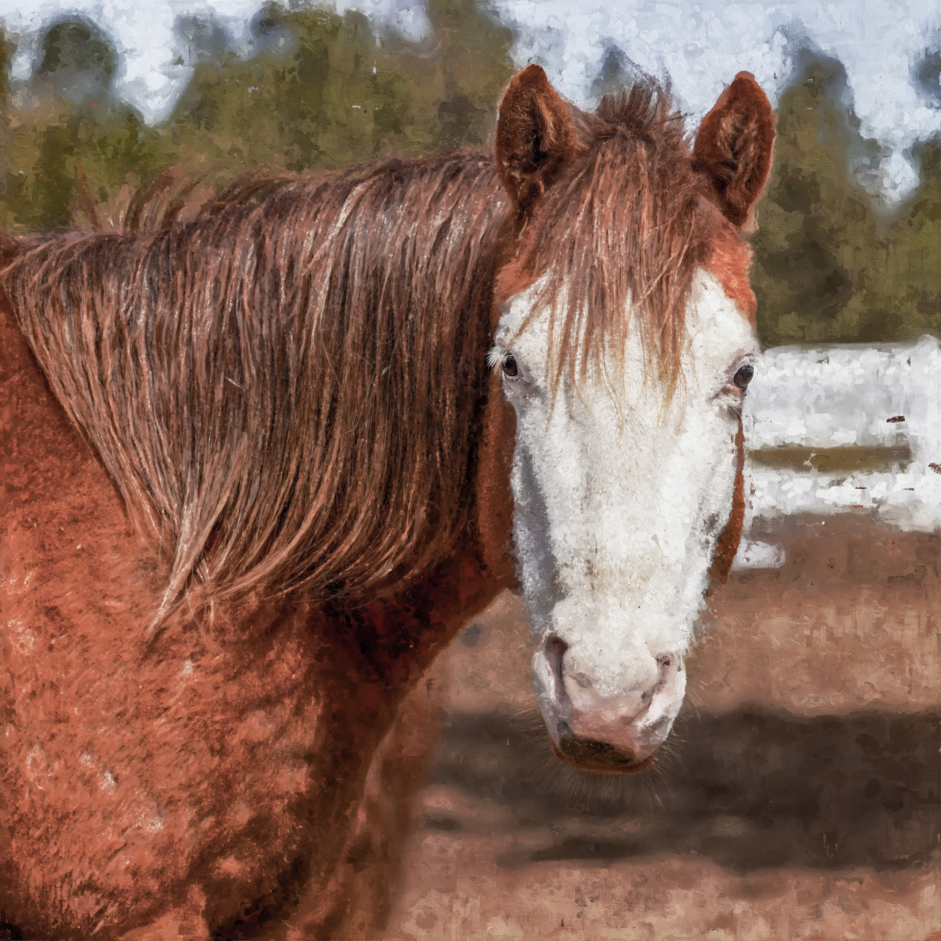 HR Horses-068.7Sty.Mix.tif