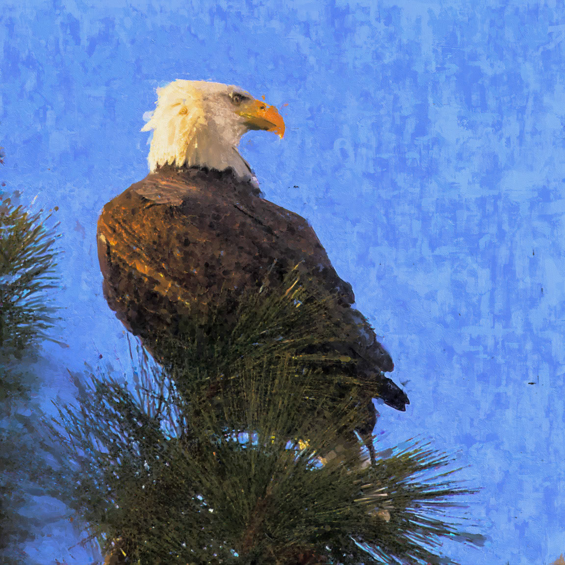 200107.River Bend Eagle-001.7Sty.Mix.jpg