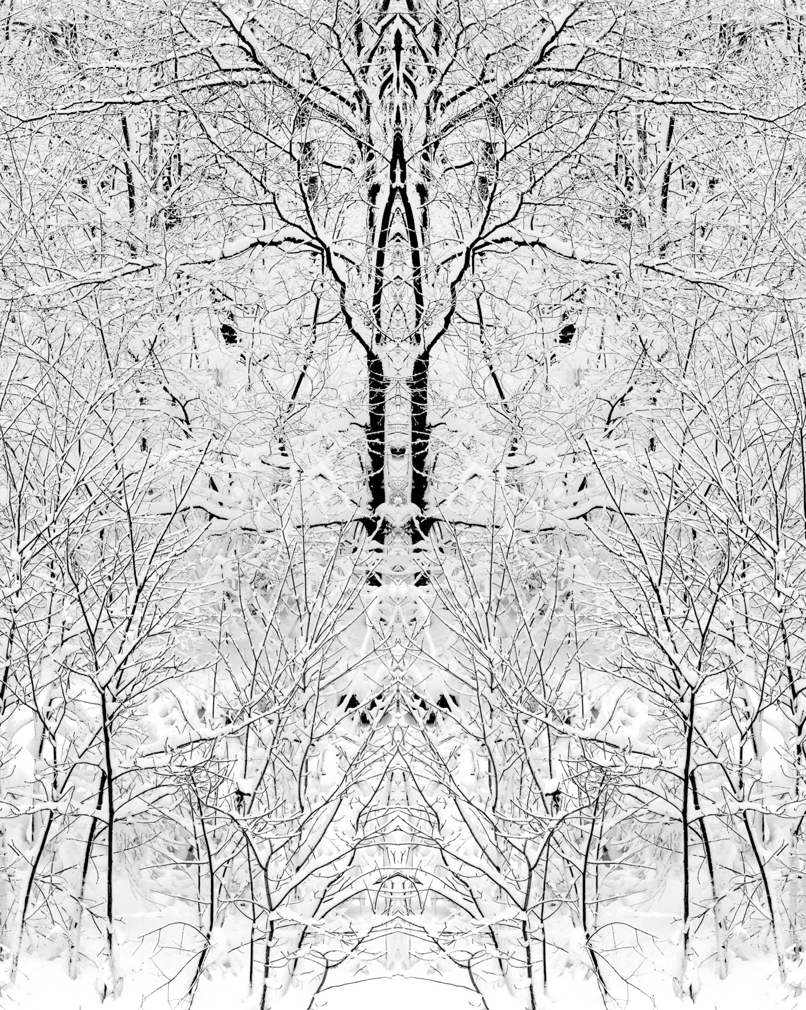 45-119-2-Winter Lace 2-R1.tif