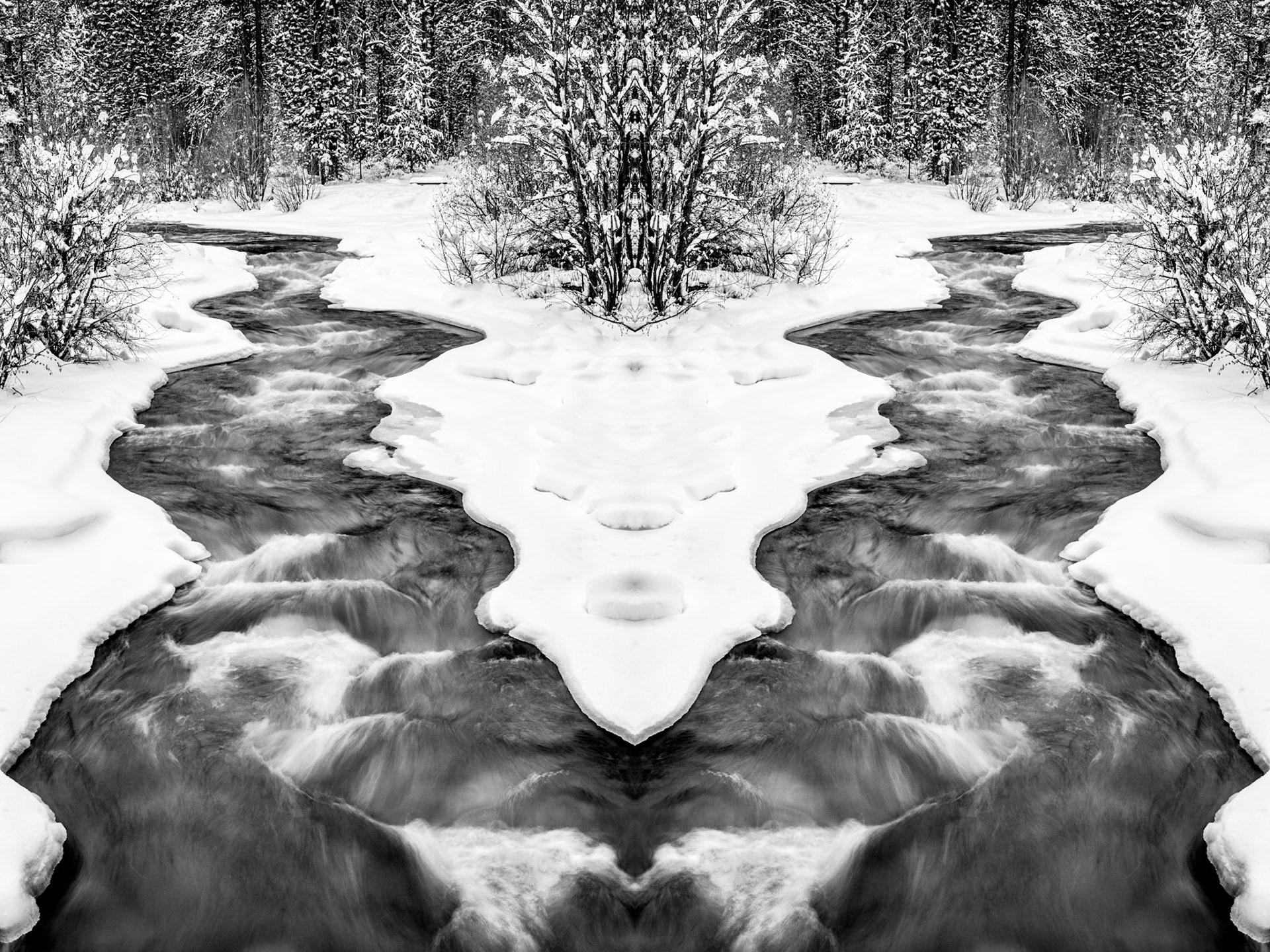 170104.Shevlin Park-002-R1.tif