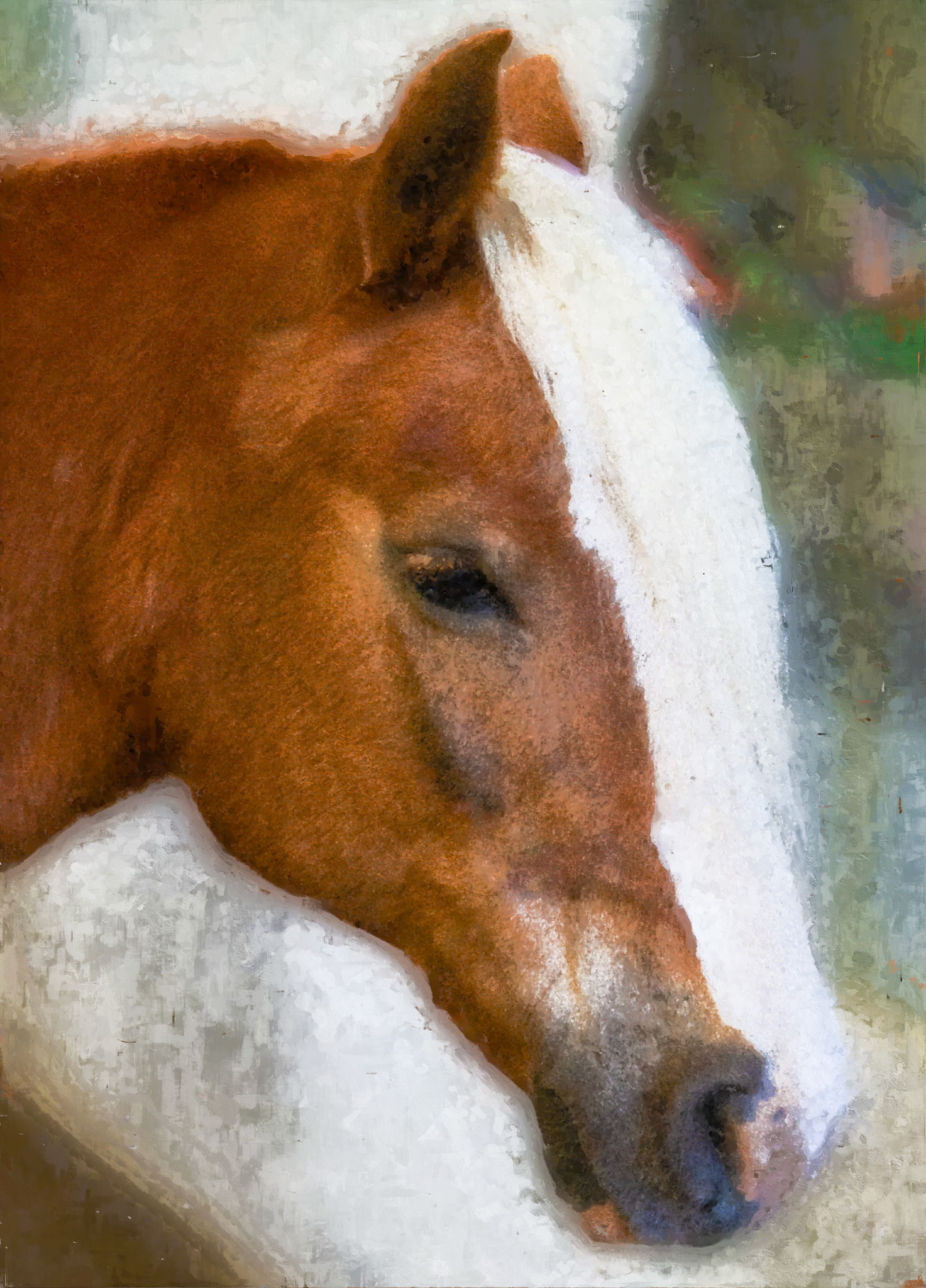 HR Horses-052.7Sty.3.tif