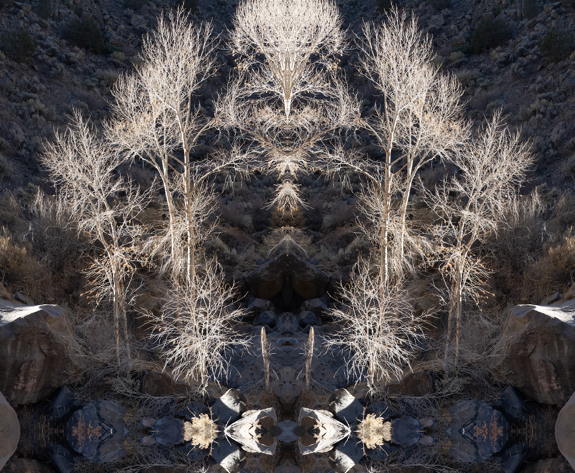 211122.Taos-003-R2-Edit-2.tif