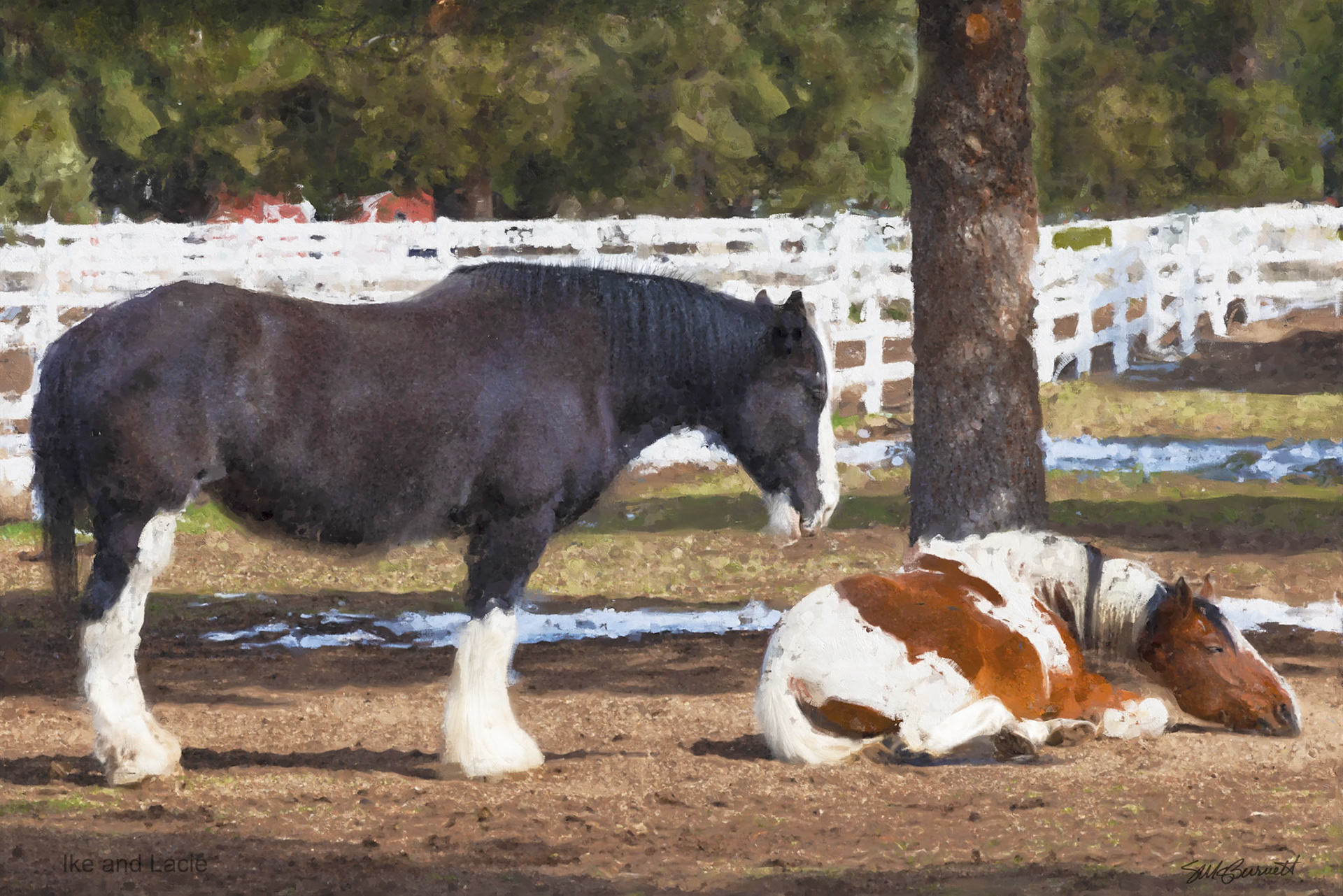 220417.HR Herd-003.7Sty.1.Eyes-Sig.2.tif