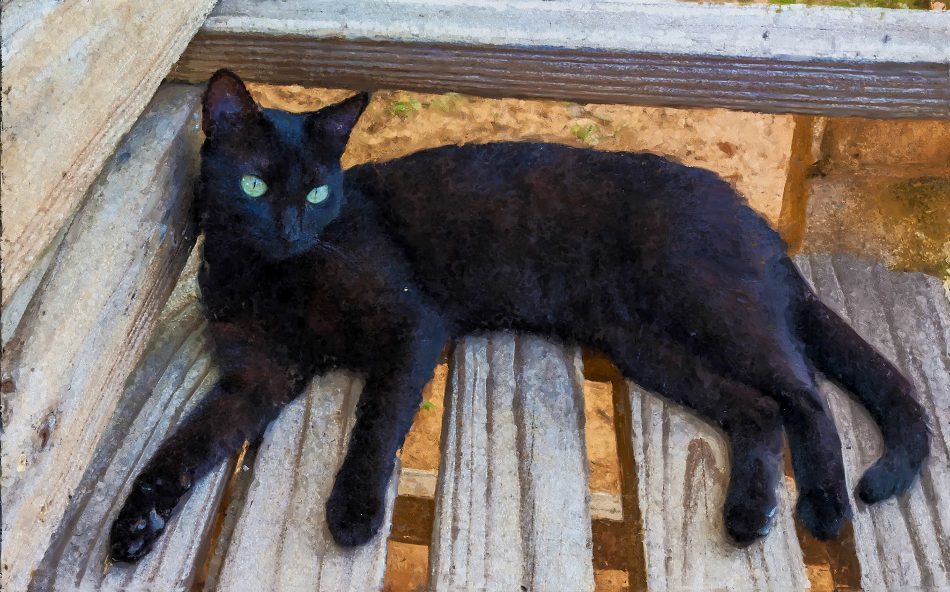 Black Cat.2.7Sty.Mix.2.tif