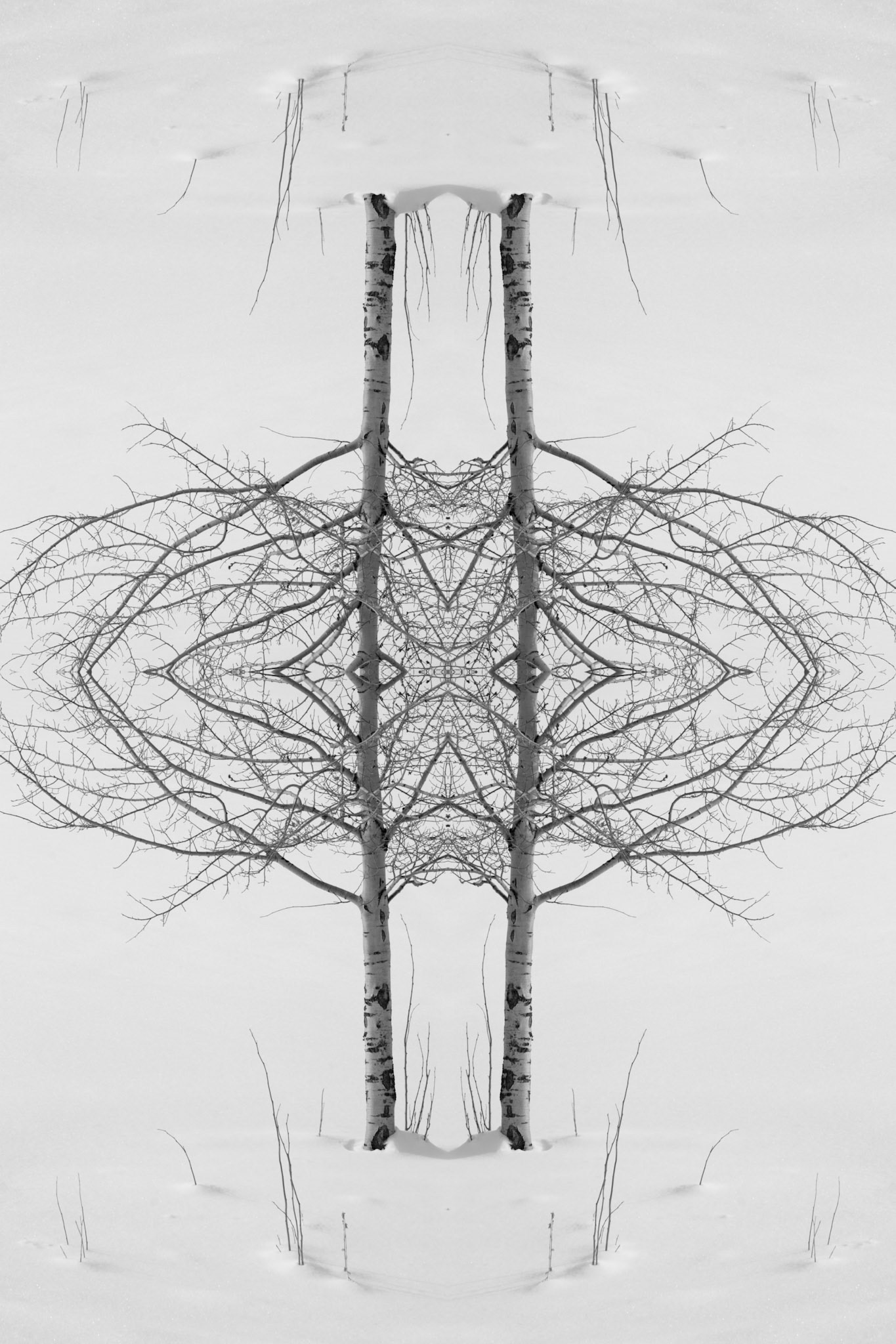 051204-006-BW-R1.tif