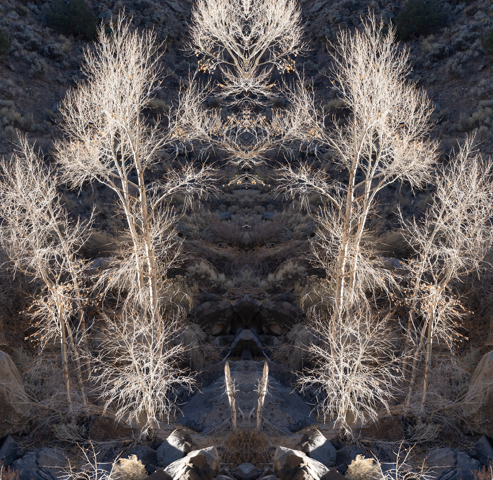 211122.Taos-009-R1.tif