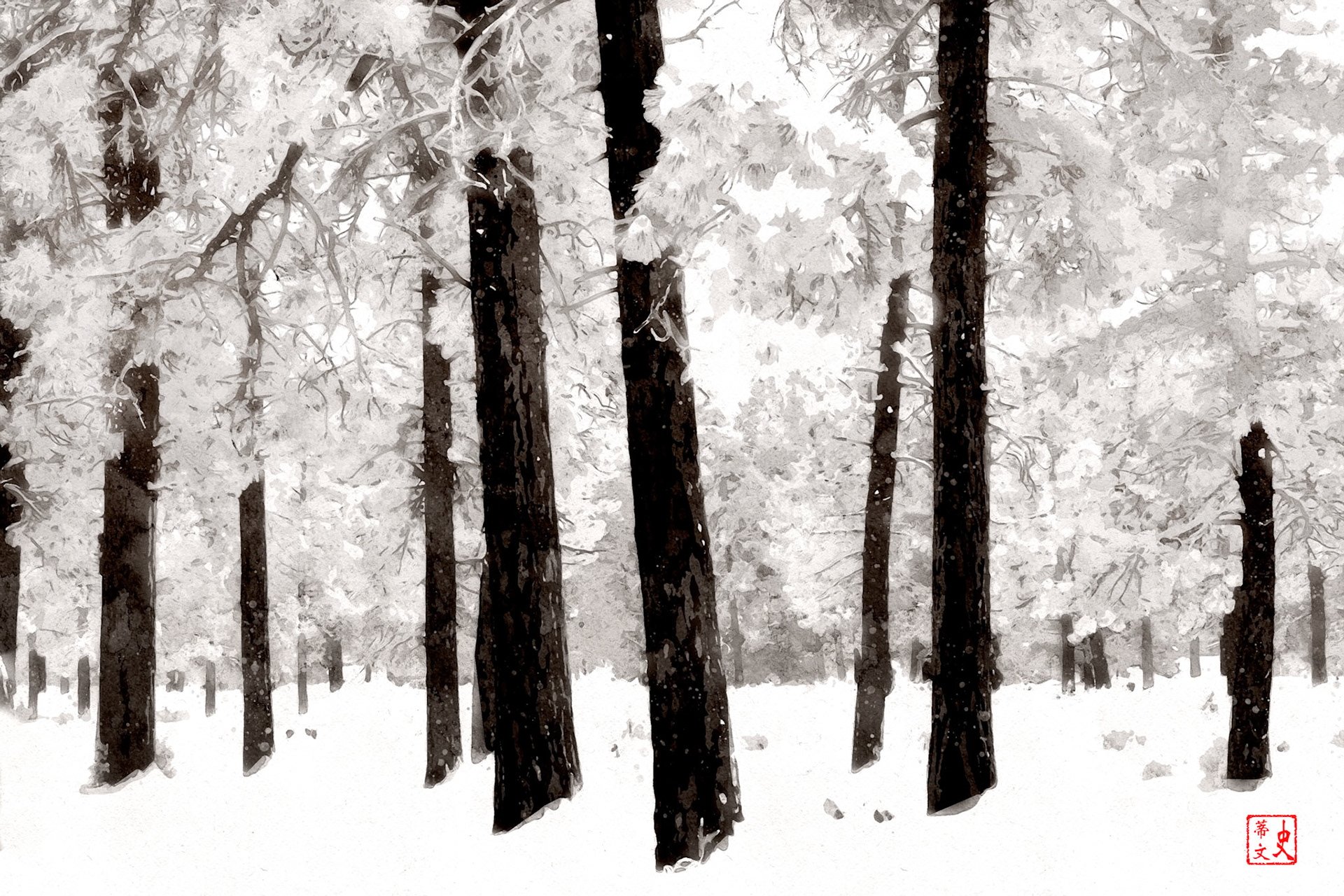 240115.Bend Snow-027-asian.1.Flat.tif