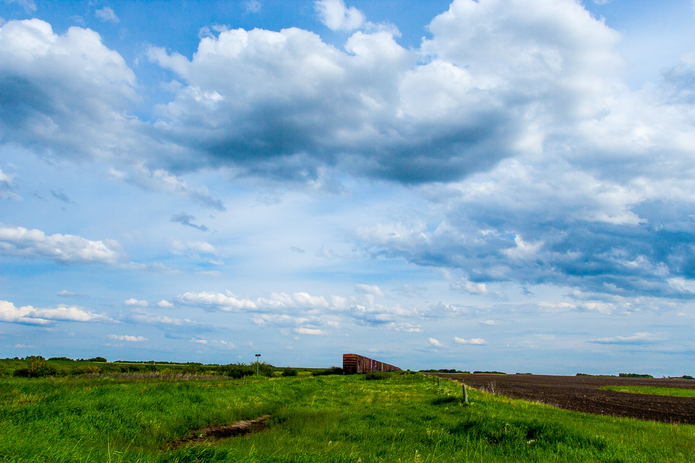 A train in field in prince albert canada