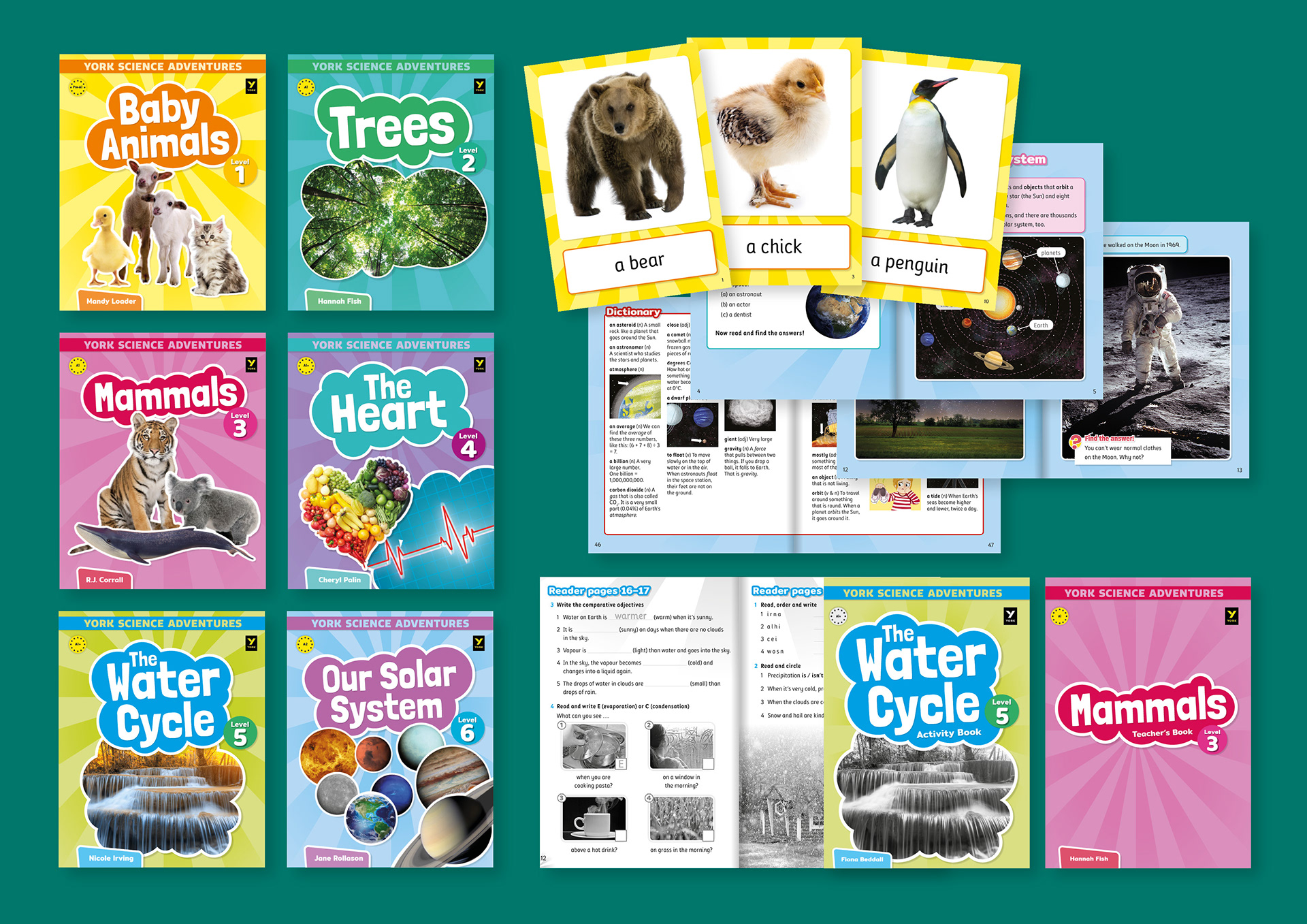 Design, layout and artwork Commissioning of 'York Science Adventures', a series of graded readers for York Press.