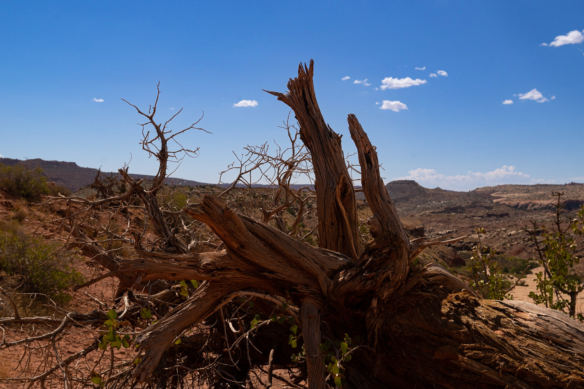 ©BAQHER STUDIOS 2022 - Arches National Park, Moab UT - 08/23/2022