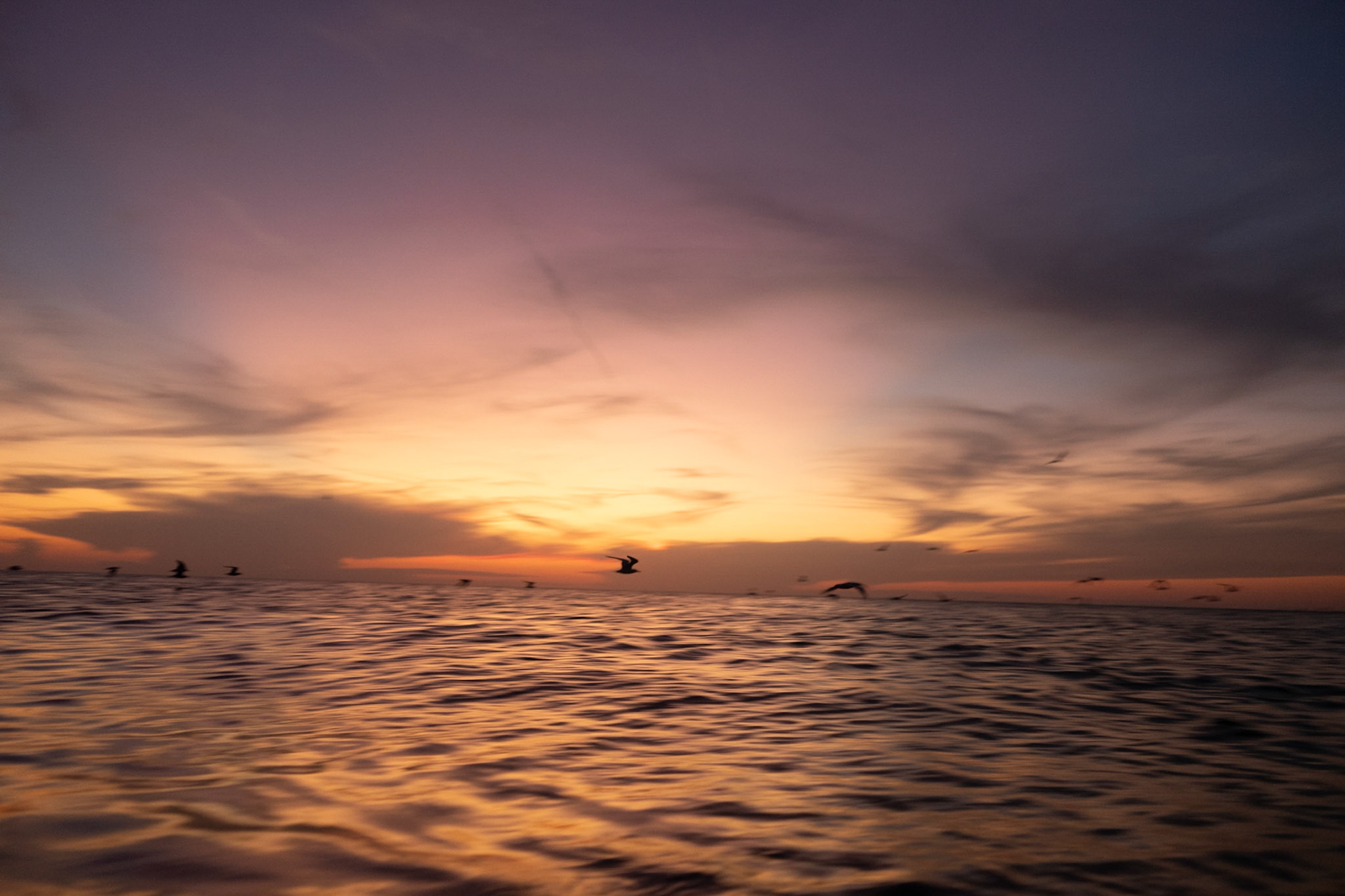 ©BAQHER STUDIOS 2022 - Anna Maria Island, Tampa, FL - 09/24/2022