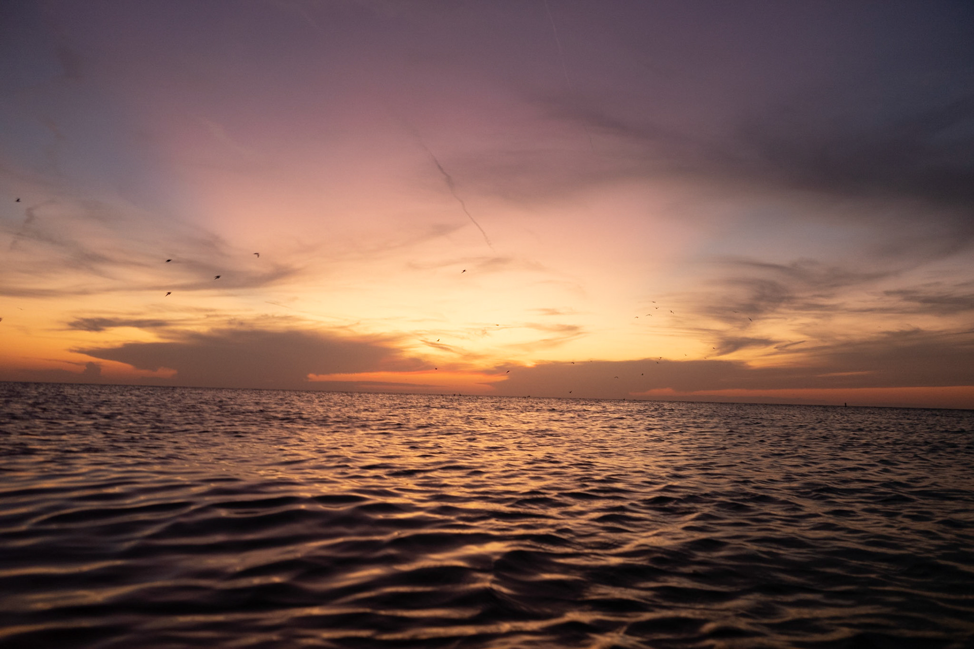 ©BAQHER STUDIOS 2022 - Anna Maria Island, Tampa, FL - 09/24/2022