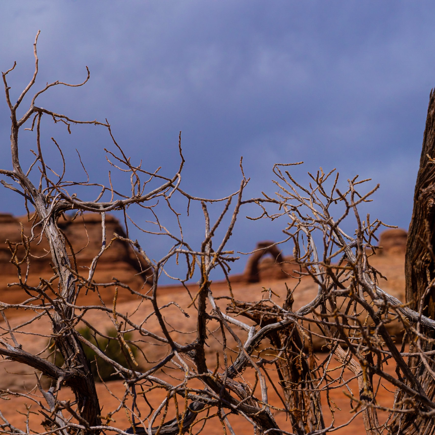 ©BAQHER STUDIOS 2022 - Arches National Park, Moab UT - 08/23/2022