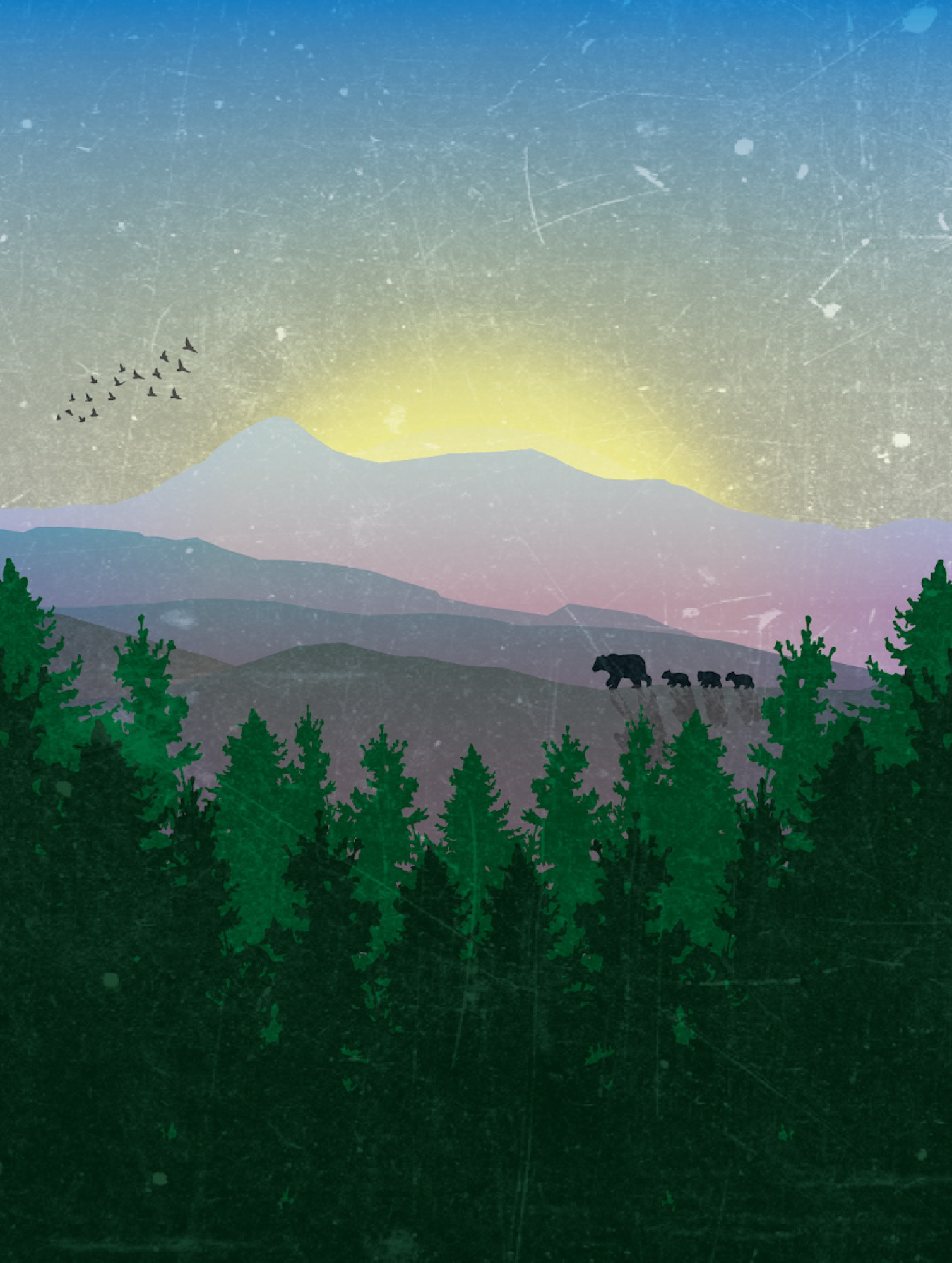 Bear Necessities
