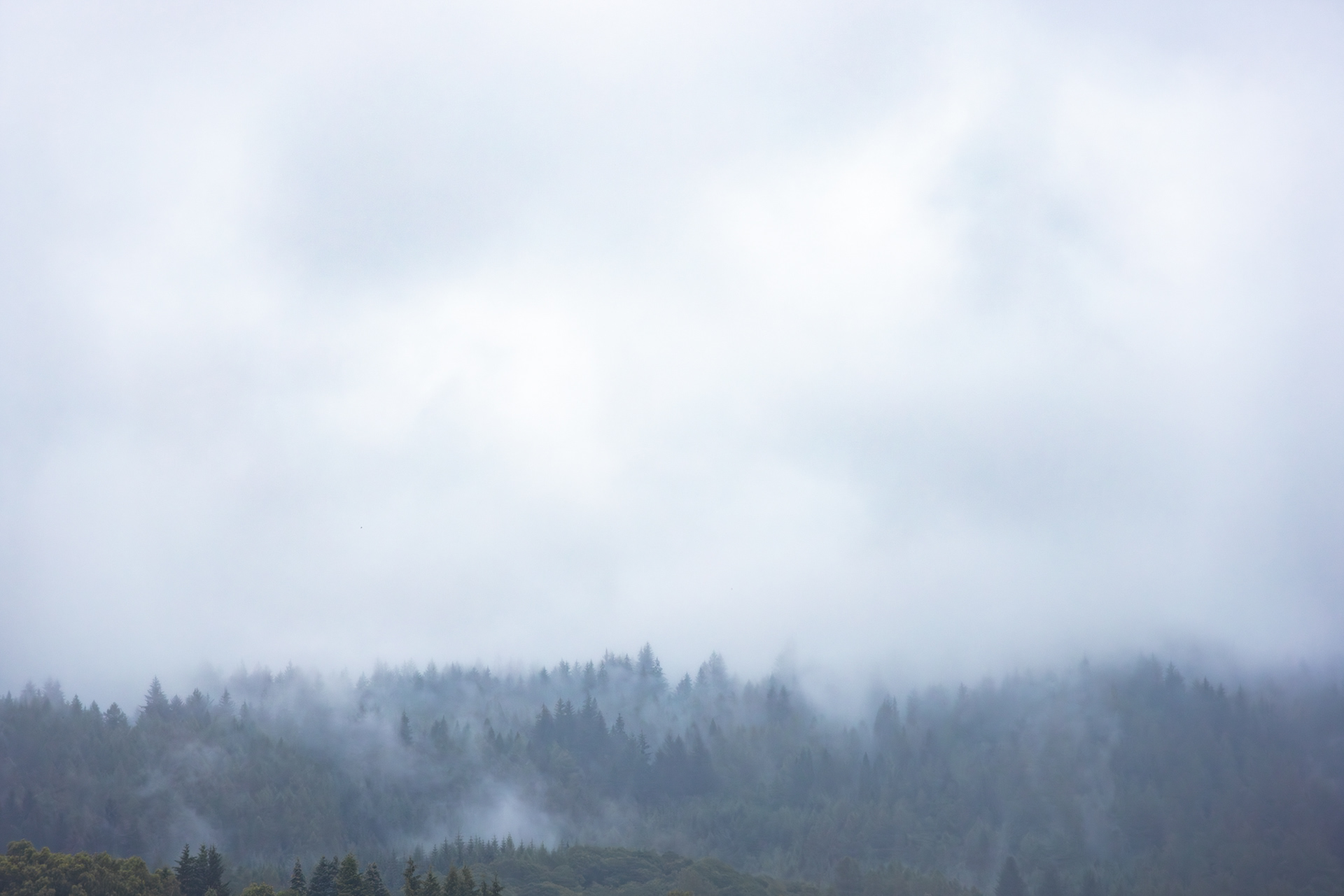 La Brume sur la crête