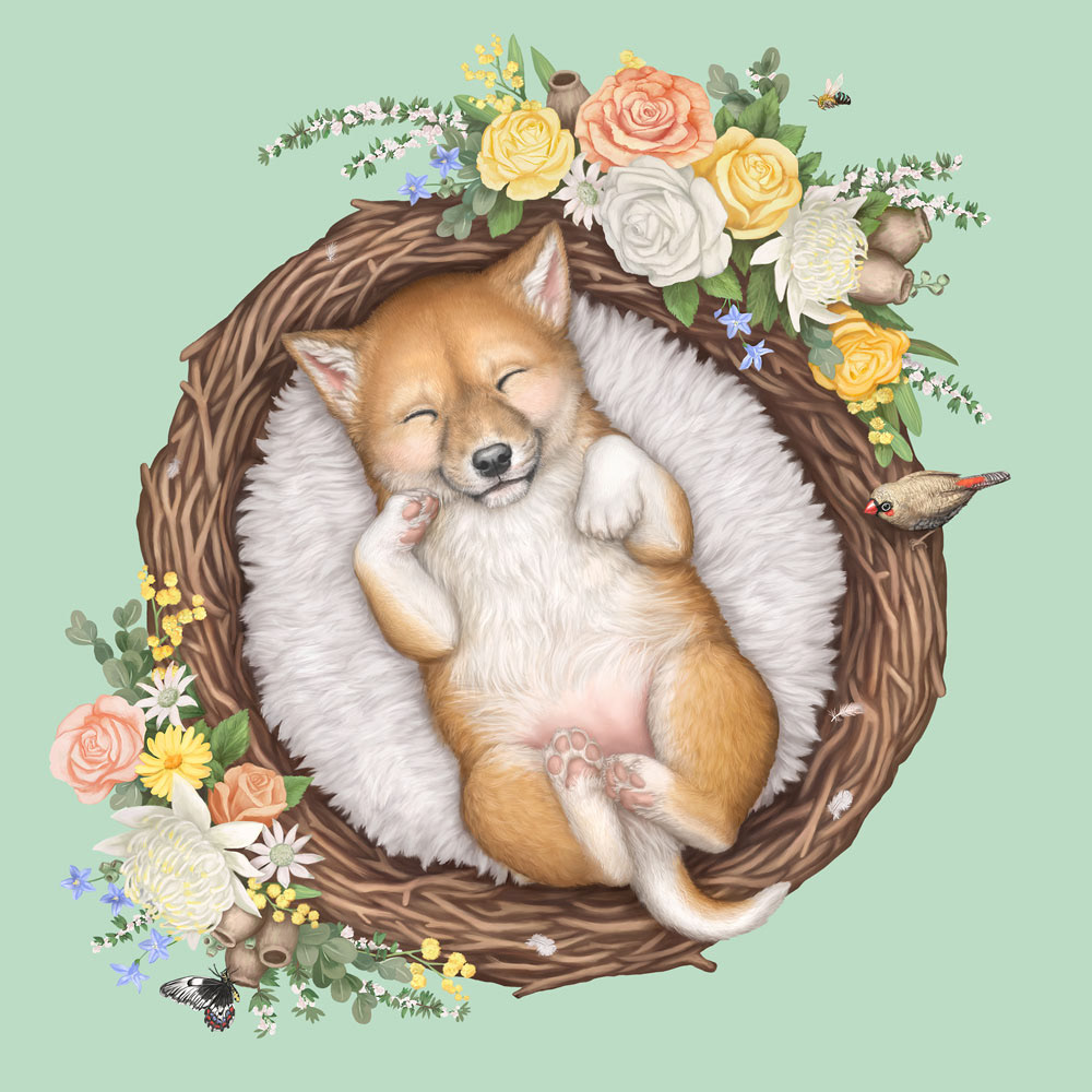 Soft, painterly illustration of a baby dingo in a nest of native flora, designed for fabric and giftware licensing.