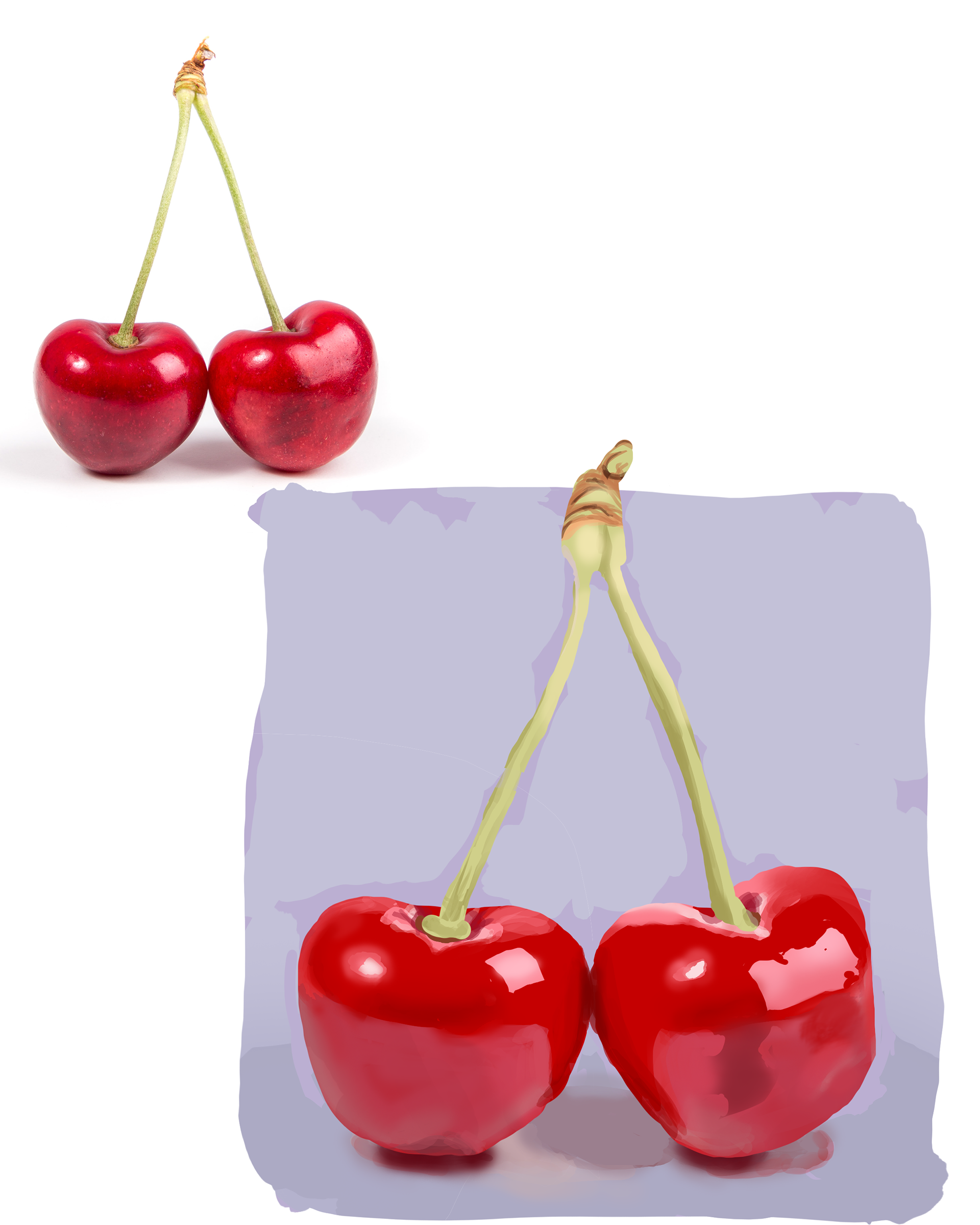 Cherry still life and reference (August 2023)