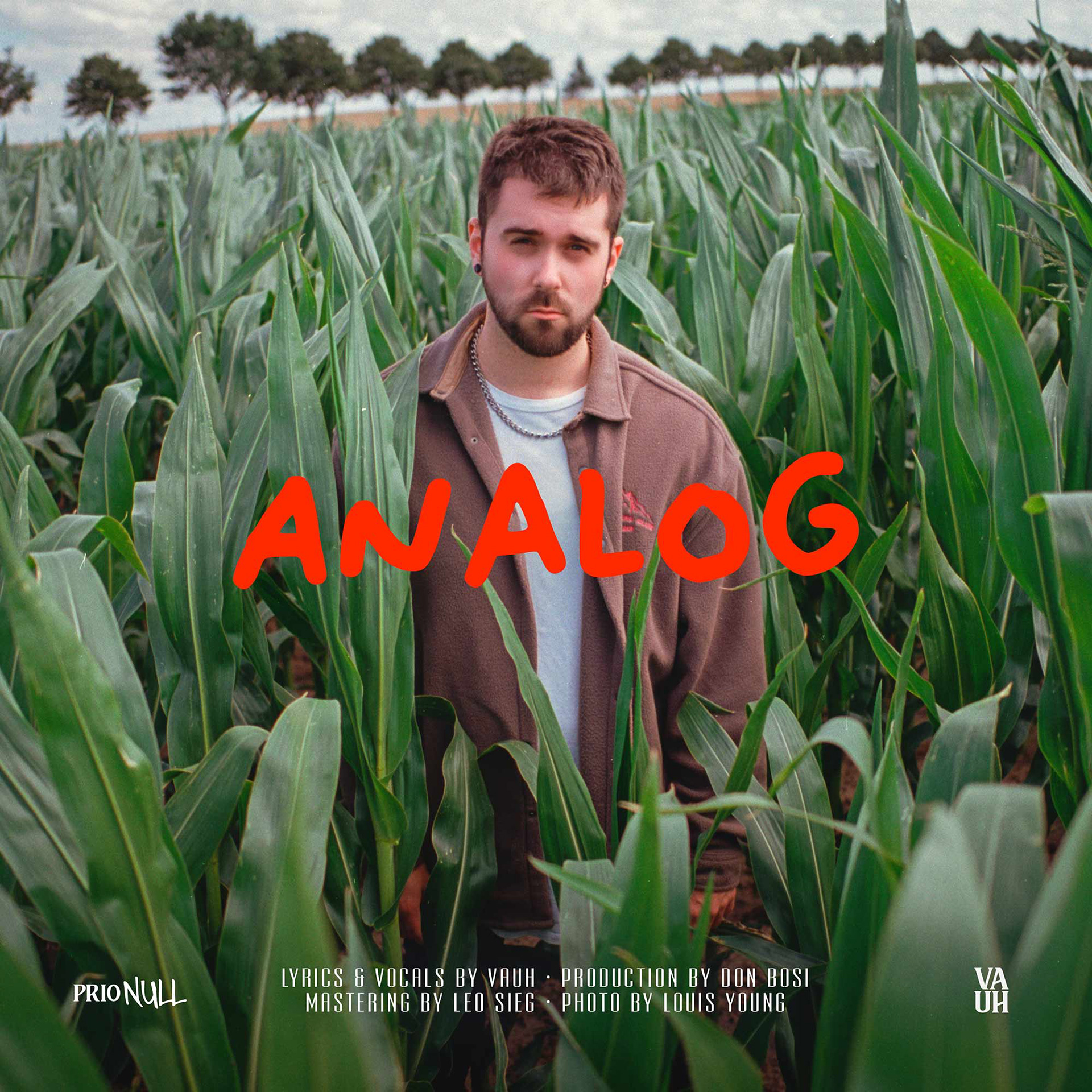 Vauh - Analog EP