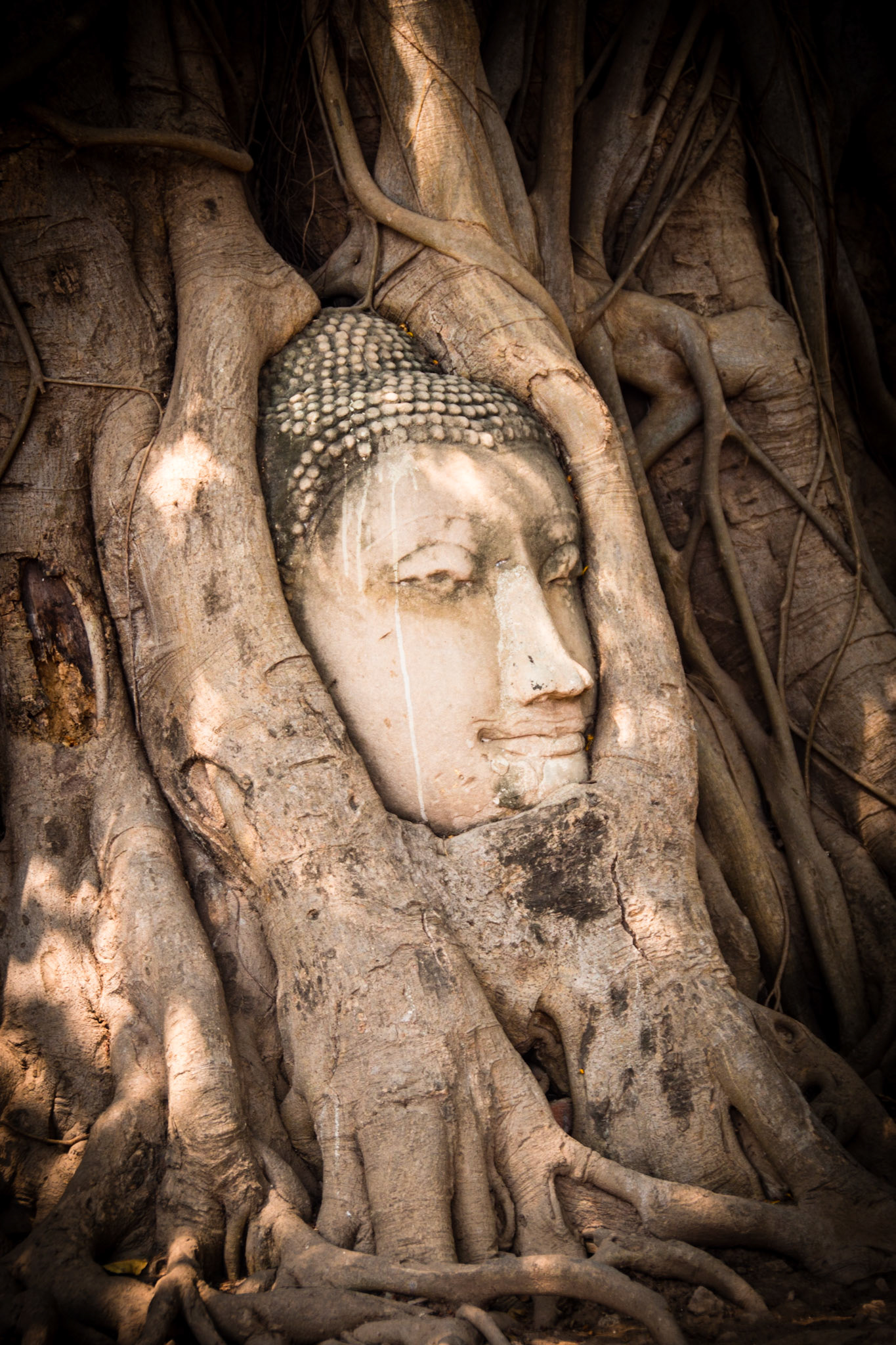 Wat Maha That, in Ayutthaya, (Siam Capital)