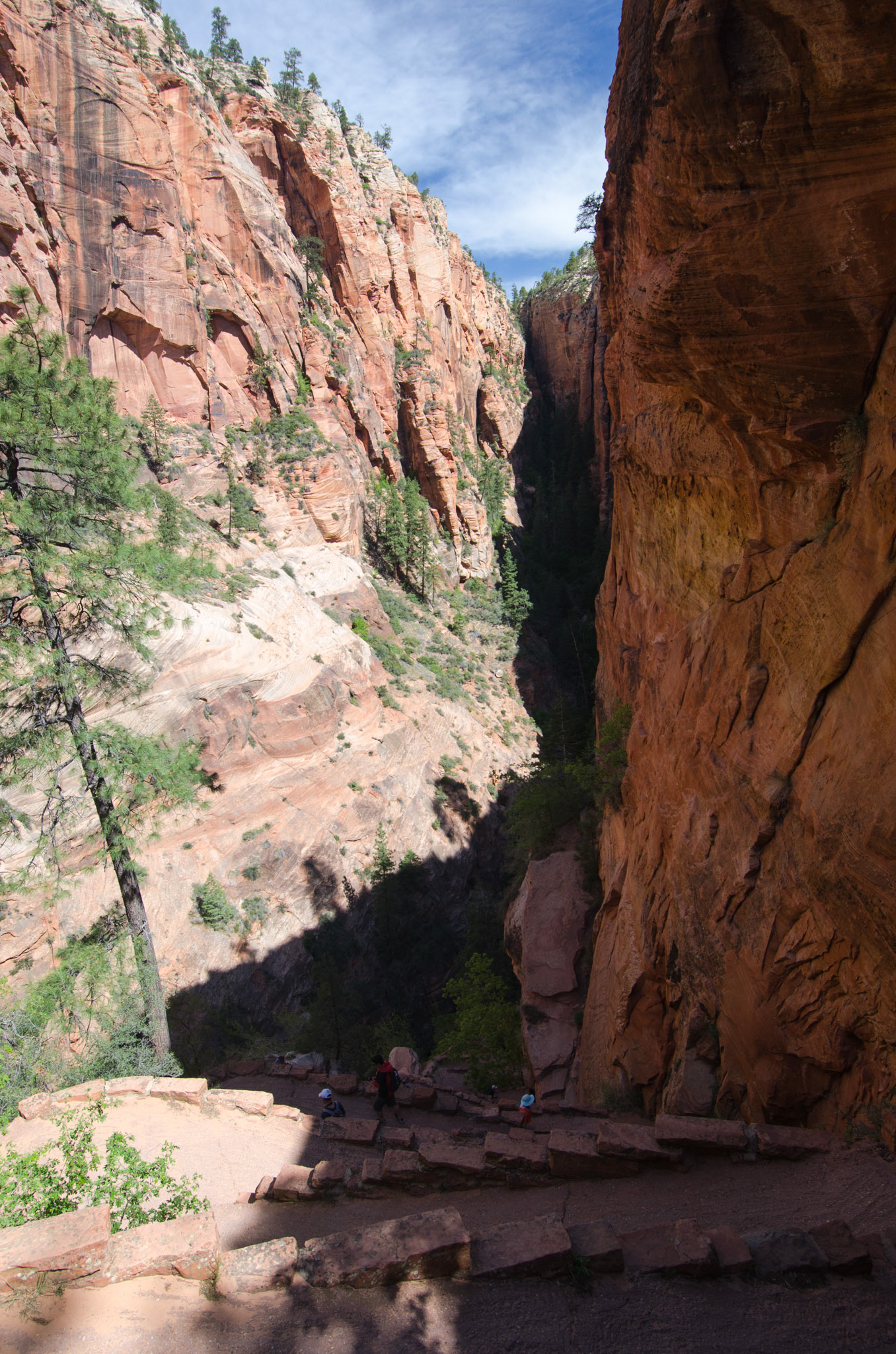 continuing Angel's Landing Trail (Walter's Wiggles)