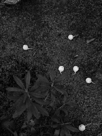 © Karine Pigeon, ADAGP