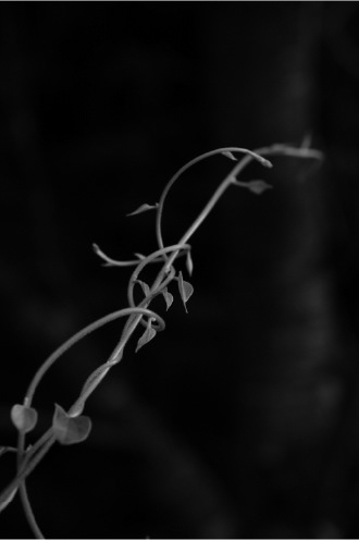 © Karine Pigeon, ADAGP