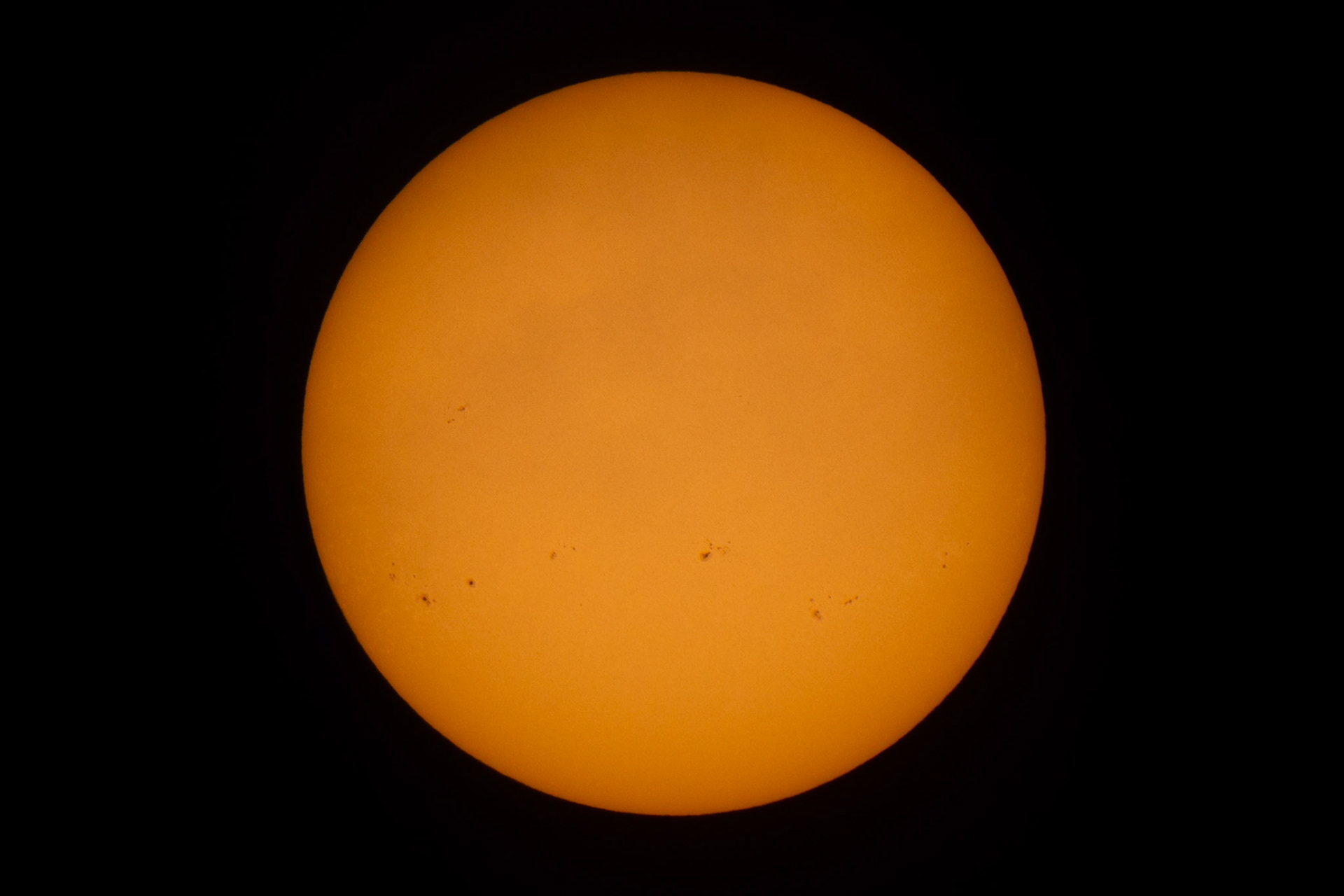 Sun Spot - Sept 29 2024
