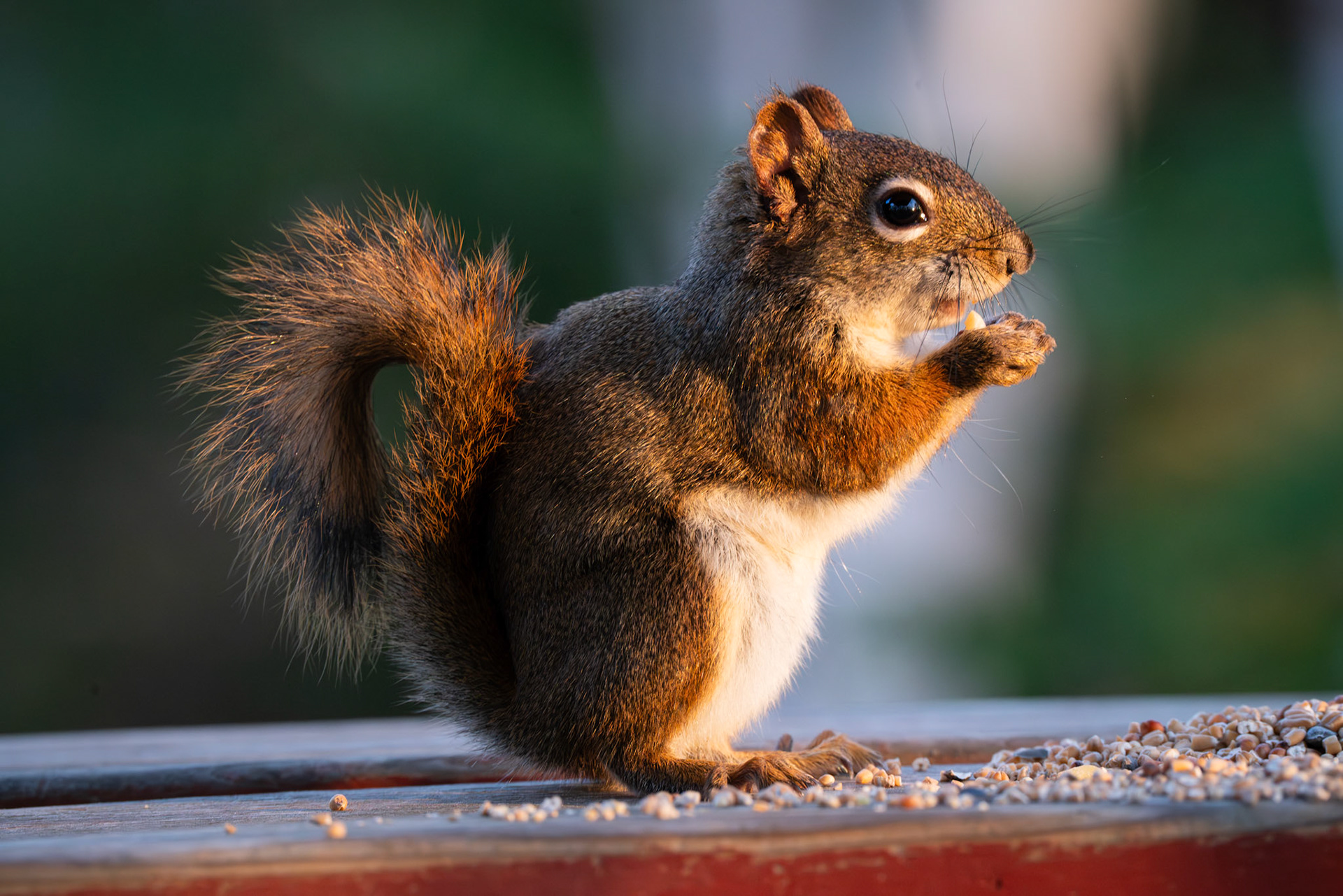 Enjoying the food and looking at the sunset.
