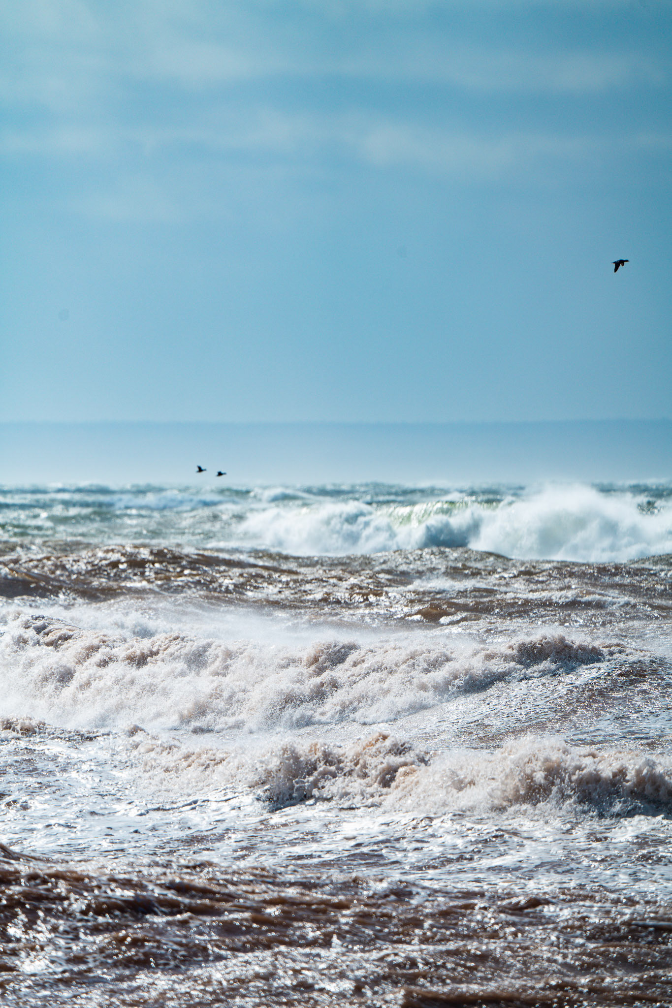 Wavy Flight - 20/04/2025