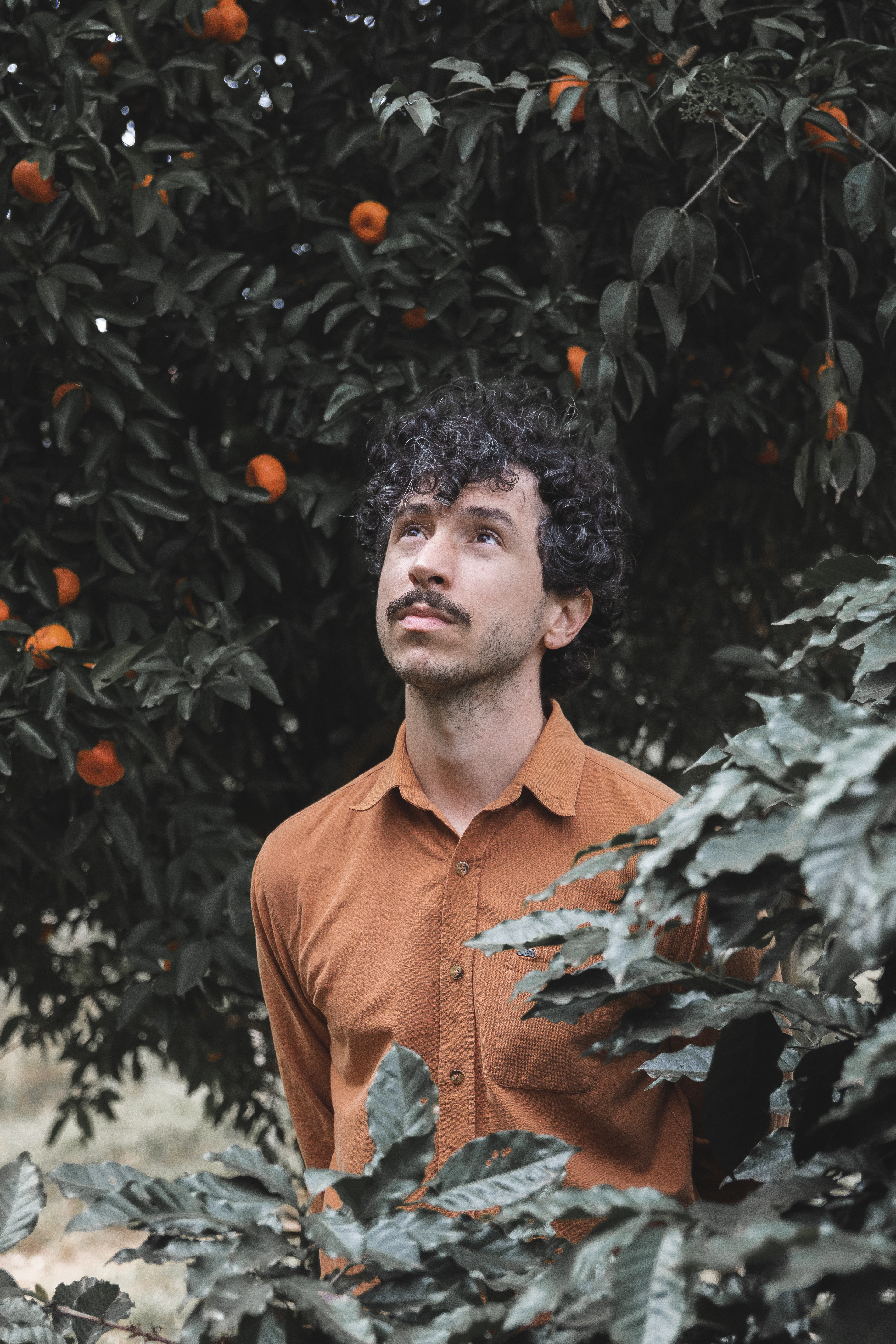 Gabriel Bruce / 2020