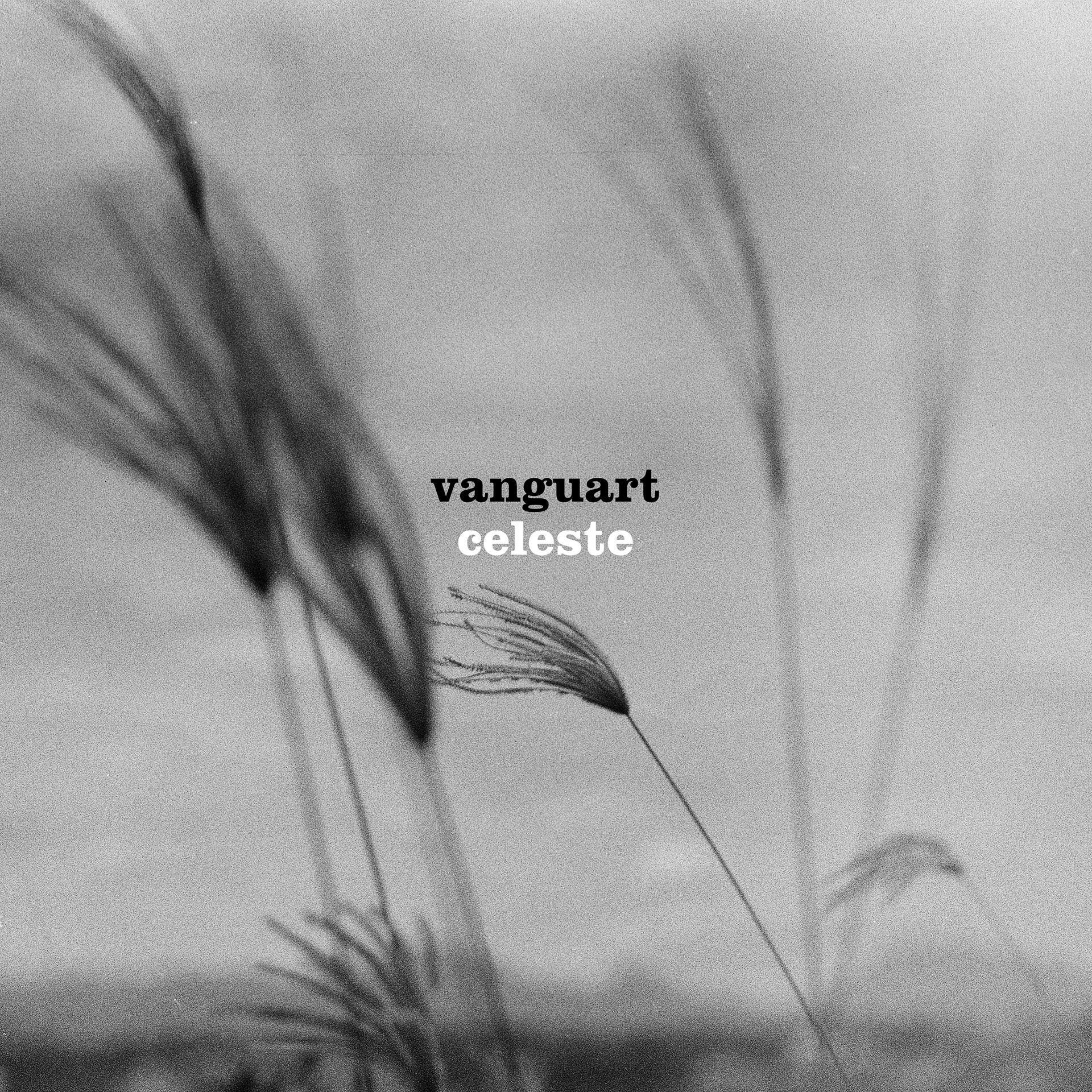 VANGUART - CELESTE [Fotografia de capa e diagramação]