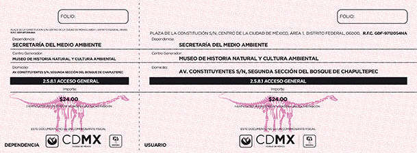 Museum Tickets