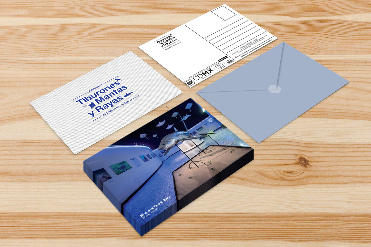 Postcard