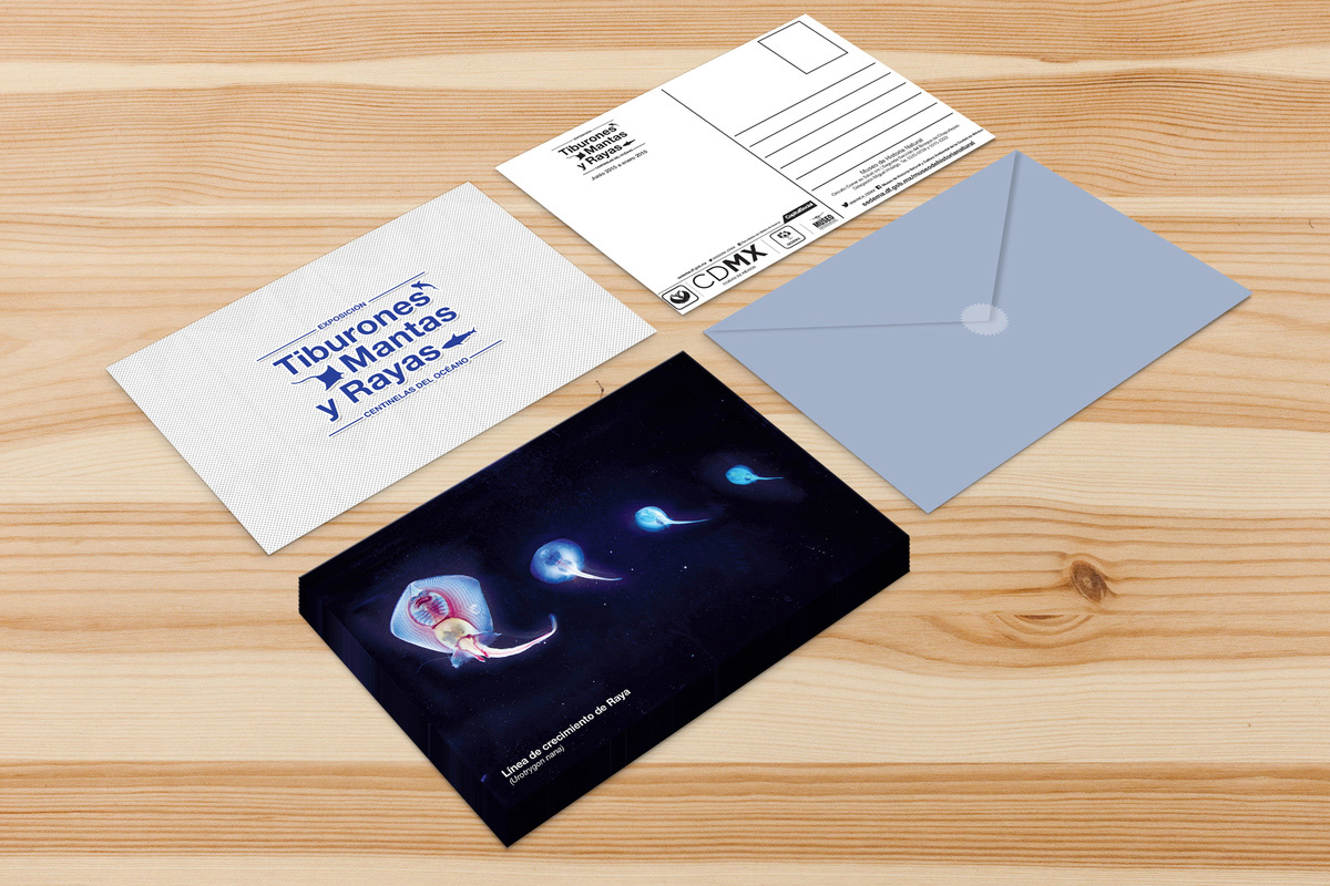 Postcard