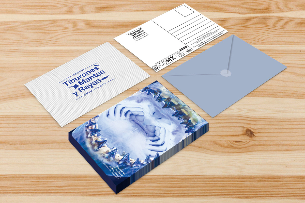 Postcard