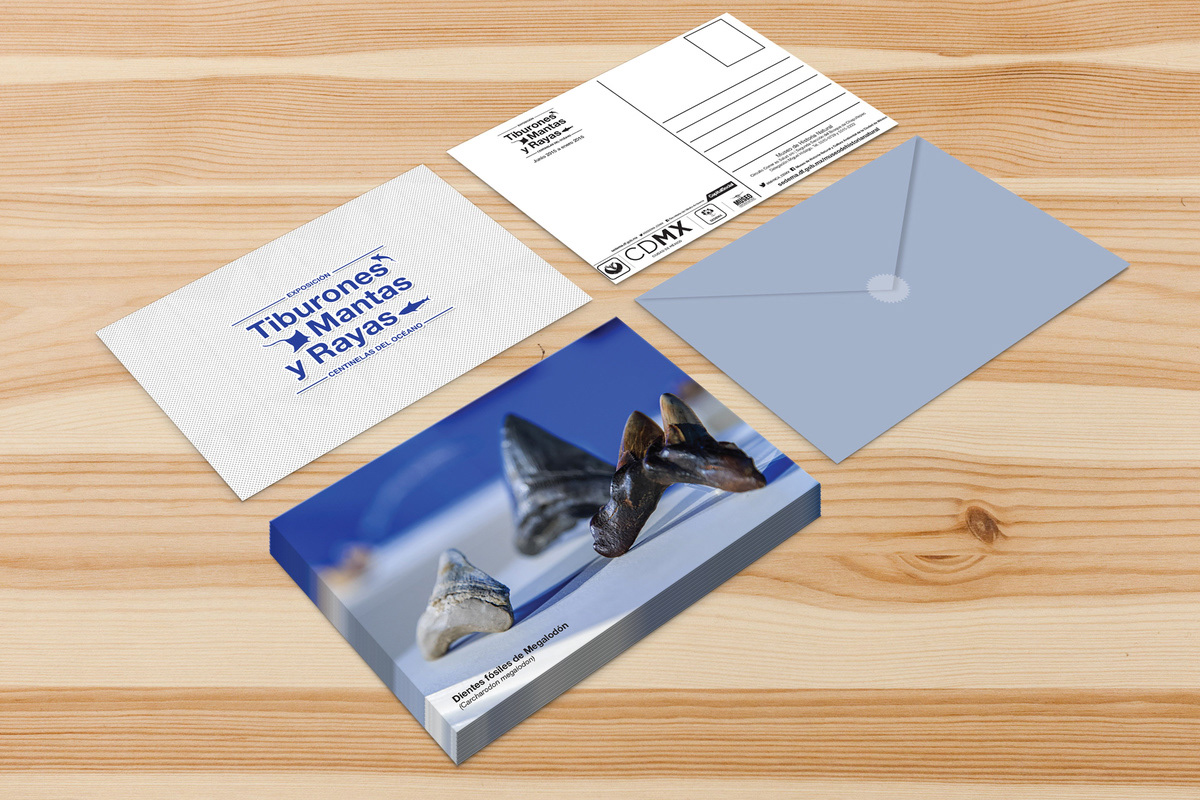 Postcard