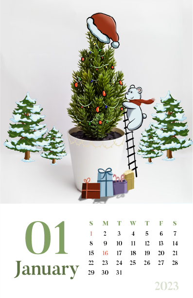Calendar: January