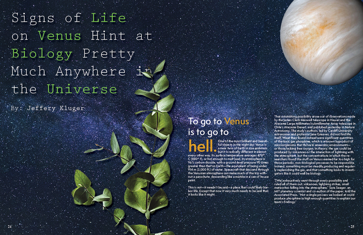 Magazine Layout Spread I