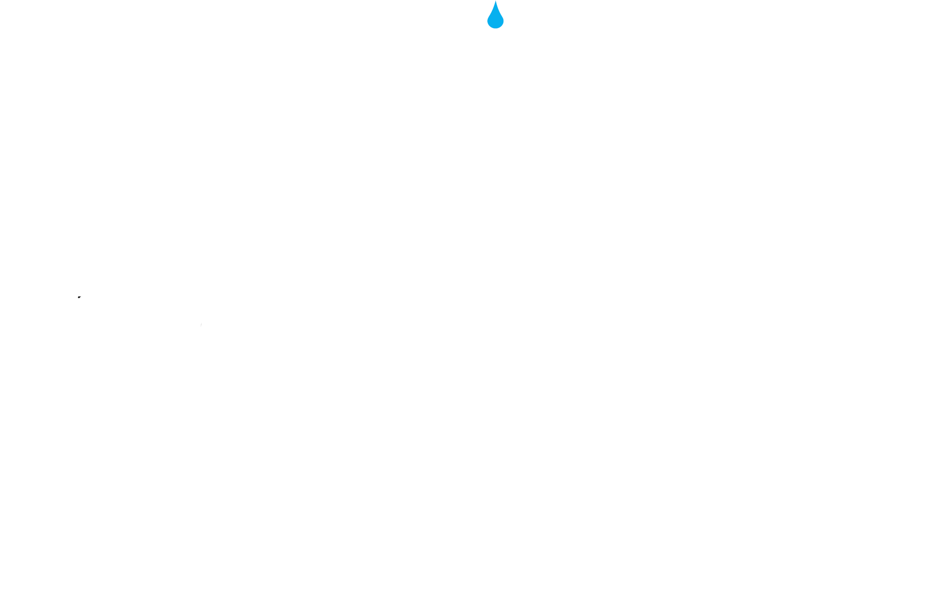 Animated Logo