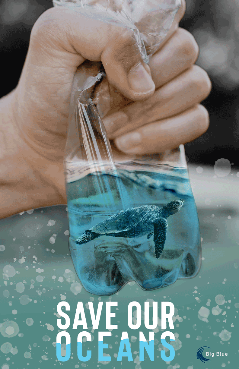 Social Action Poster Series