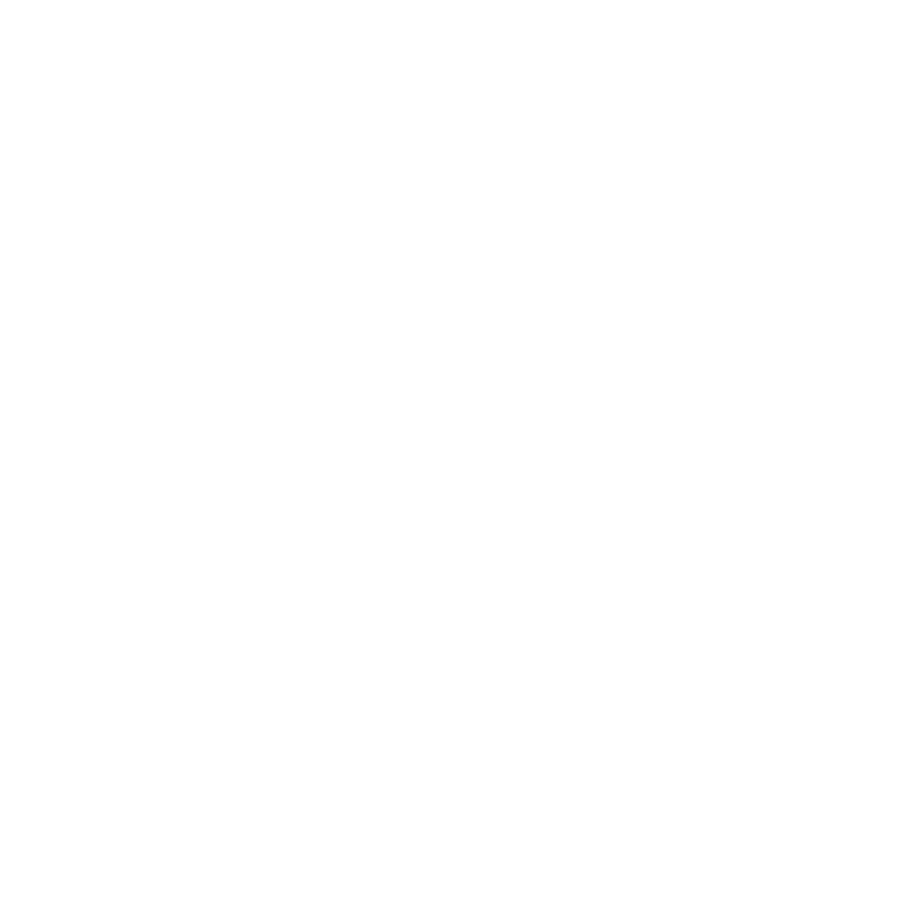 THE BODY ARCHITECTS