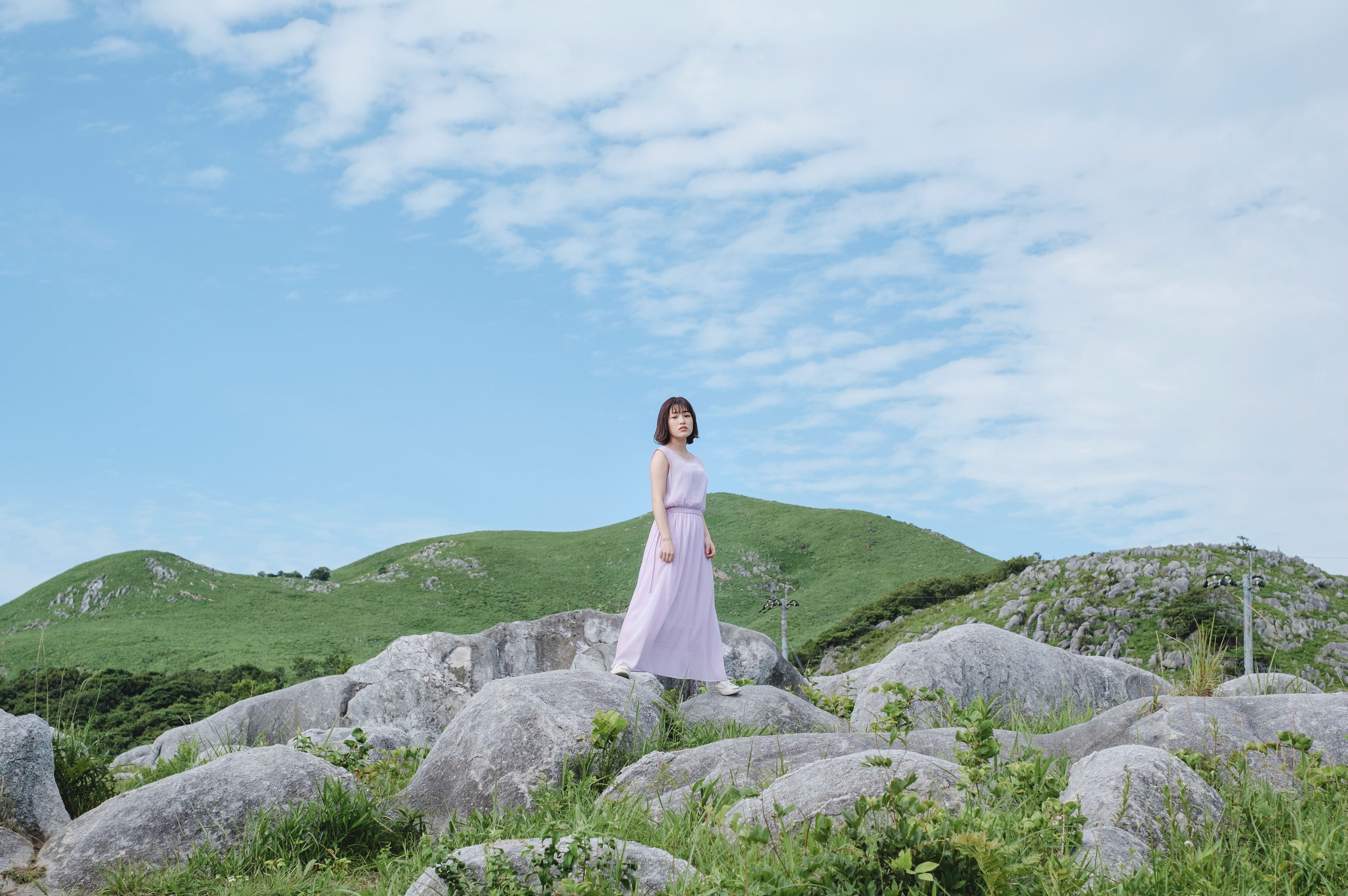 model: aoco