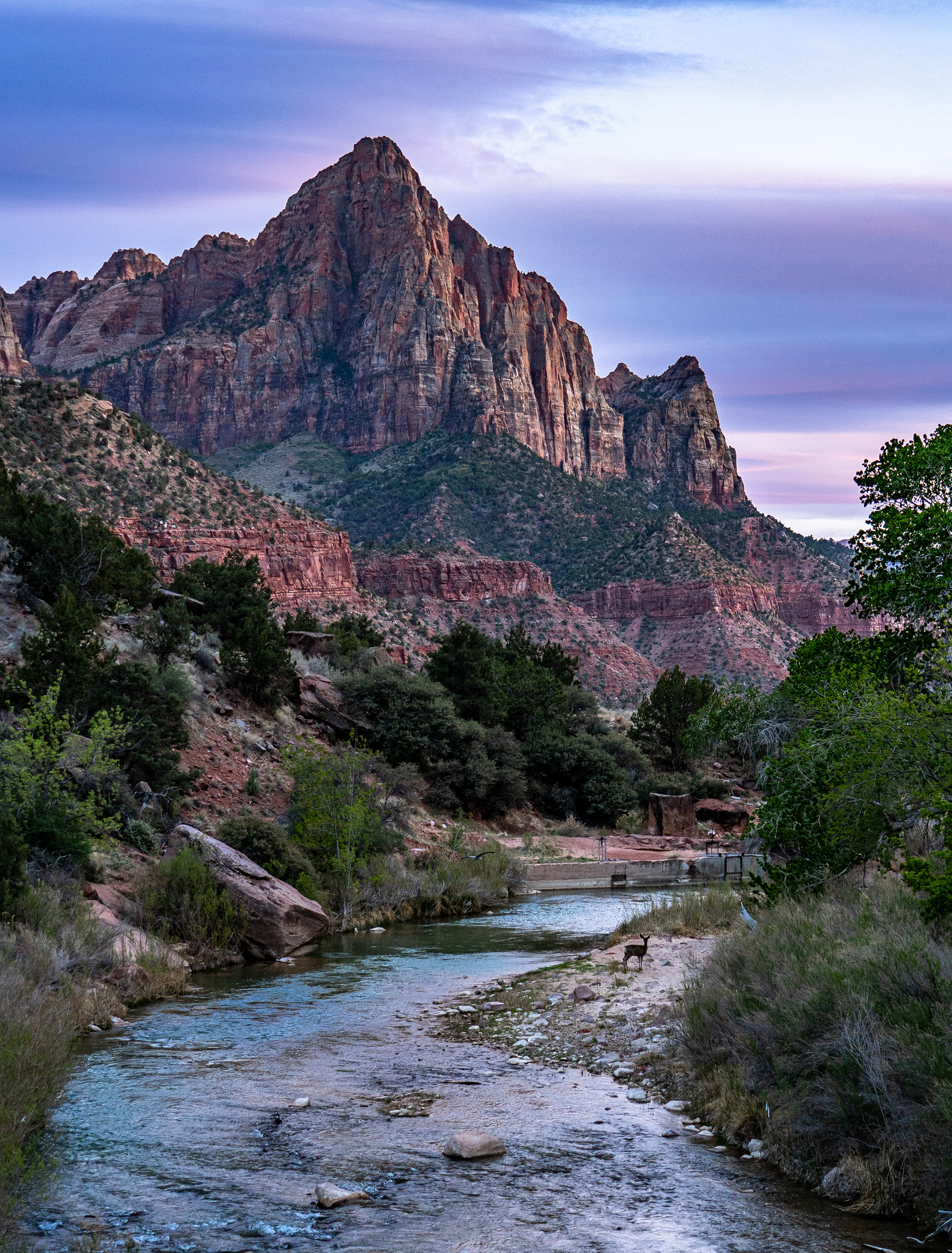 The Watchman: Zion NP, UT