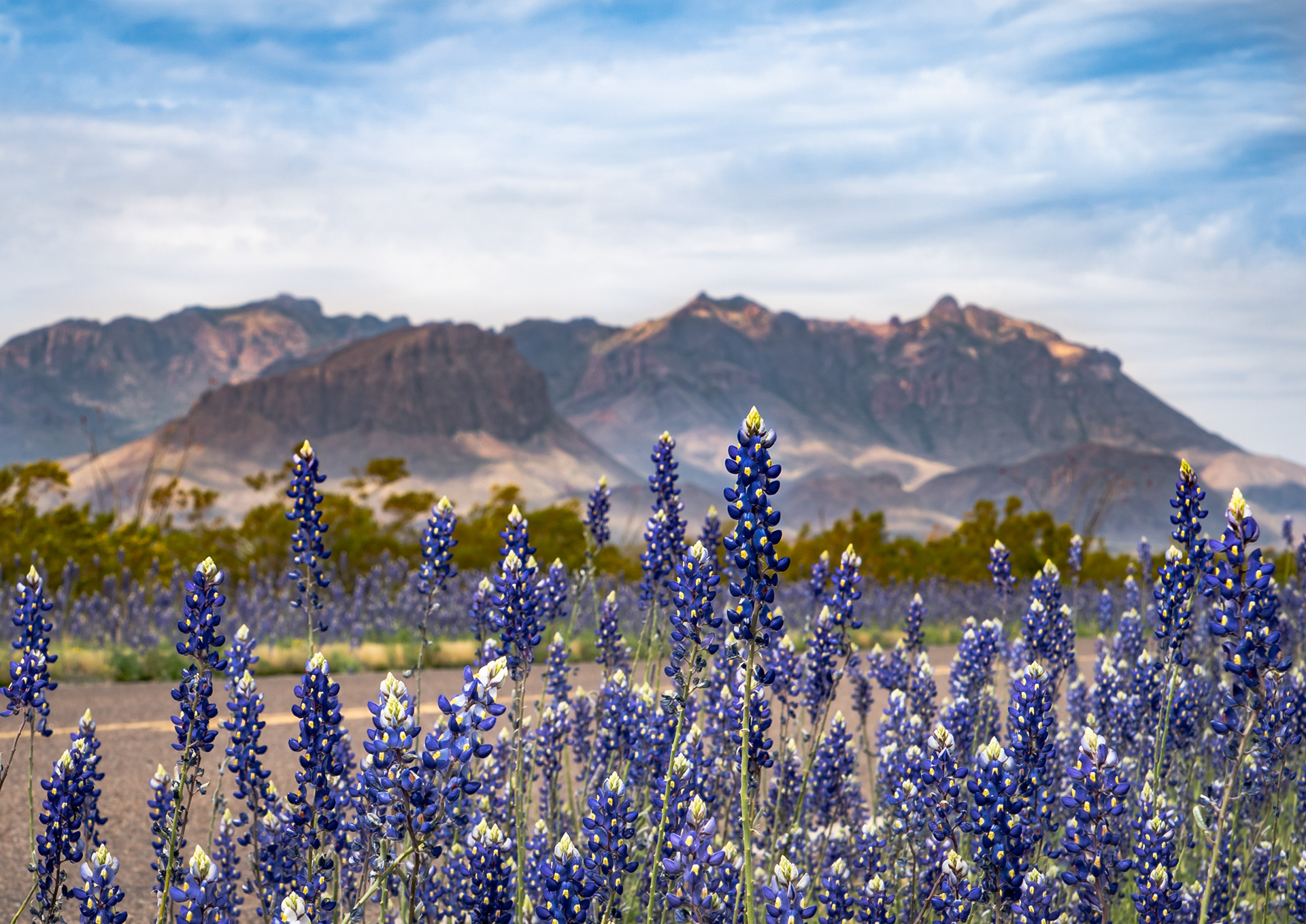 Big Bend NP, TX