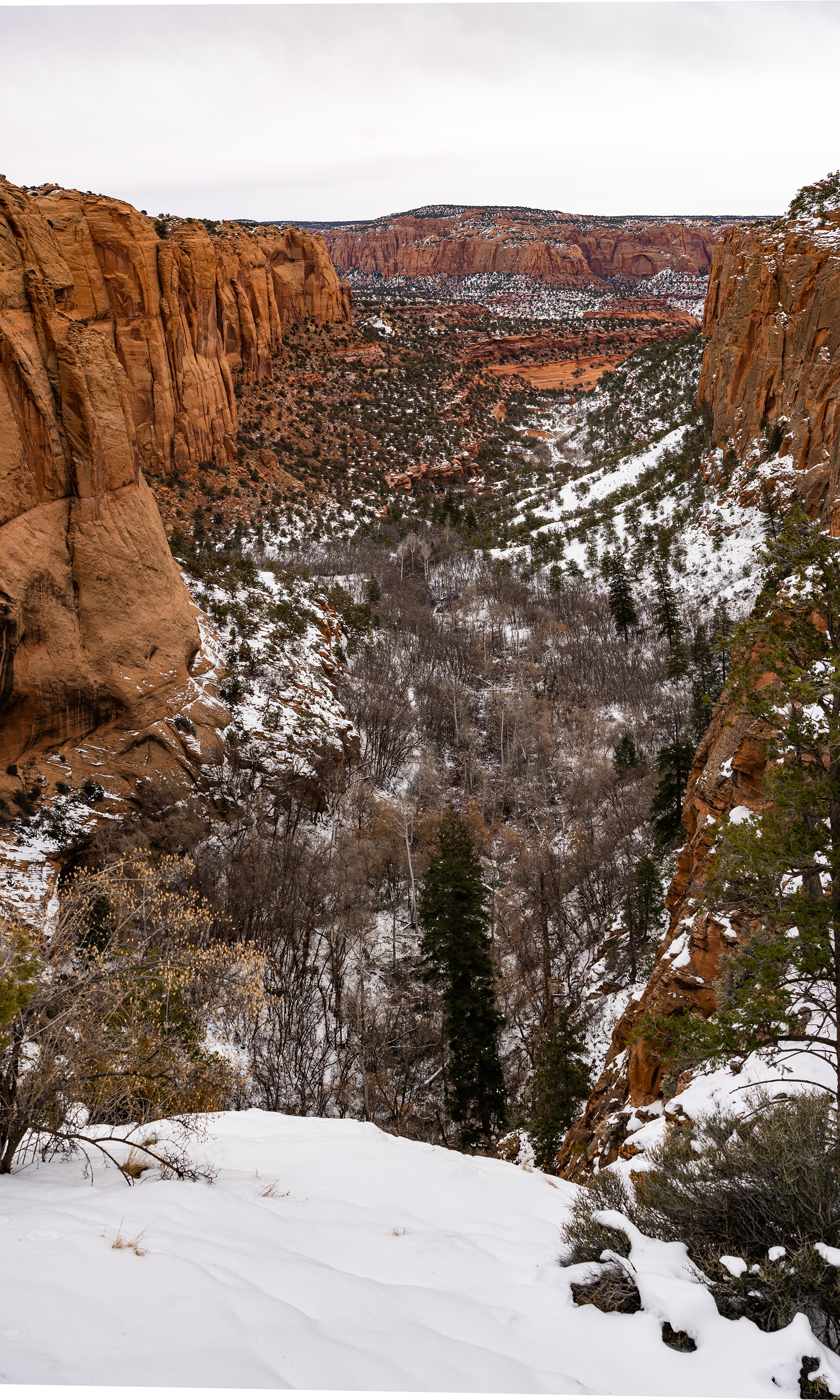 Navajo National Monument: Shonto, AZ