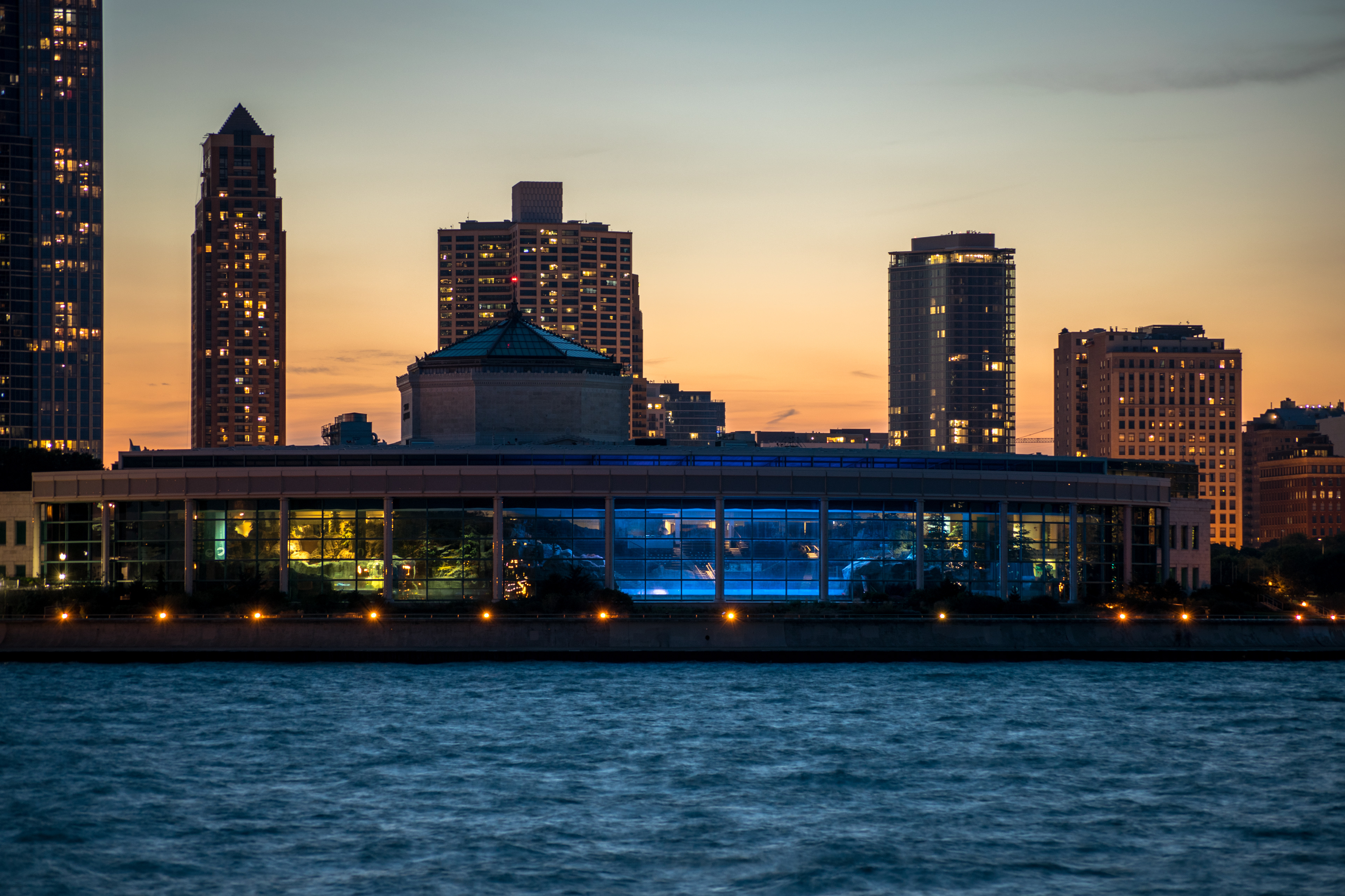Shedd Aquarium: Chicago, IL