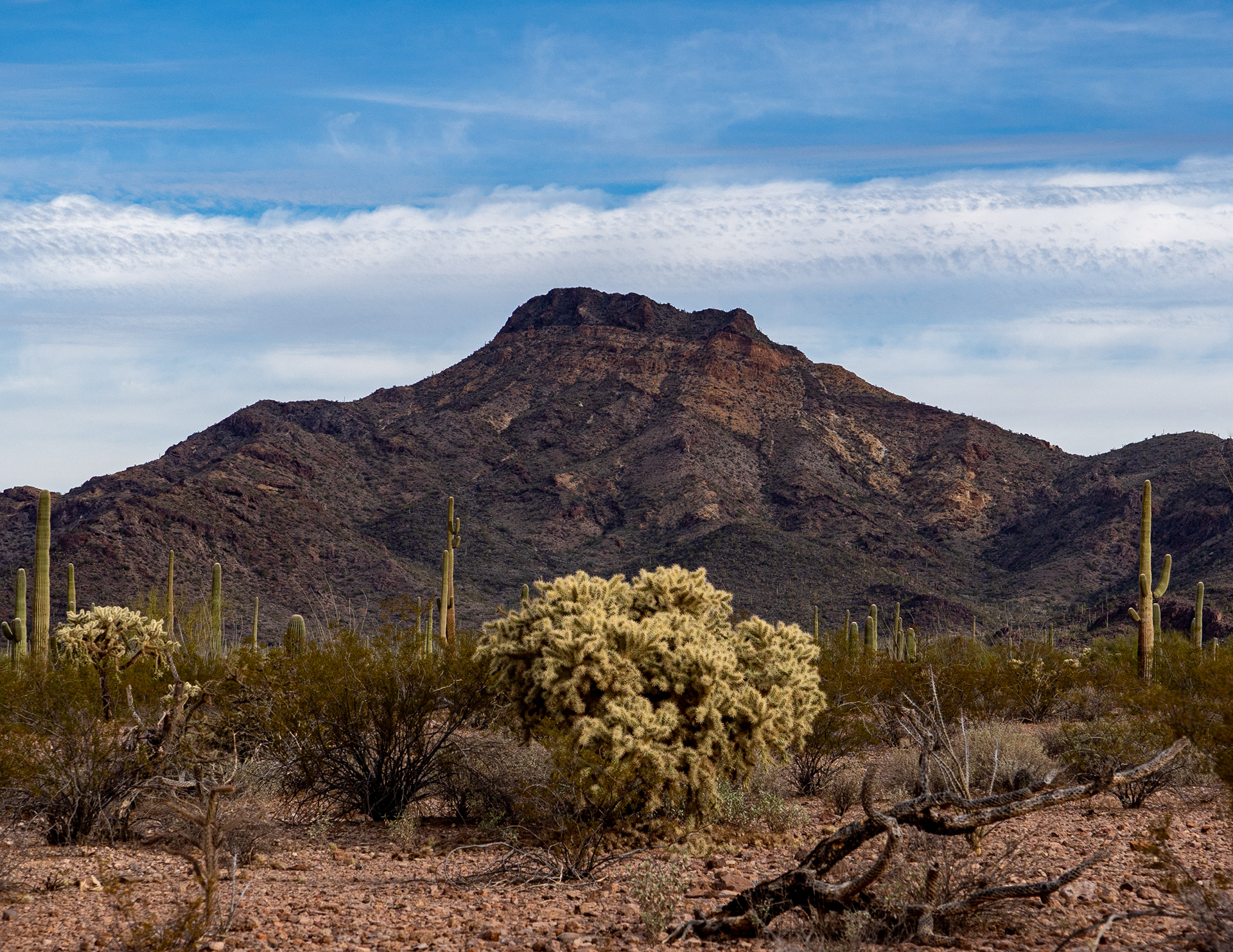 Organ Pipe National Monument, AZ