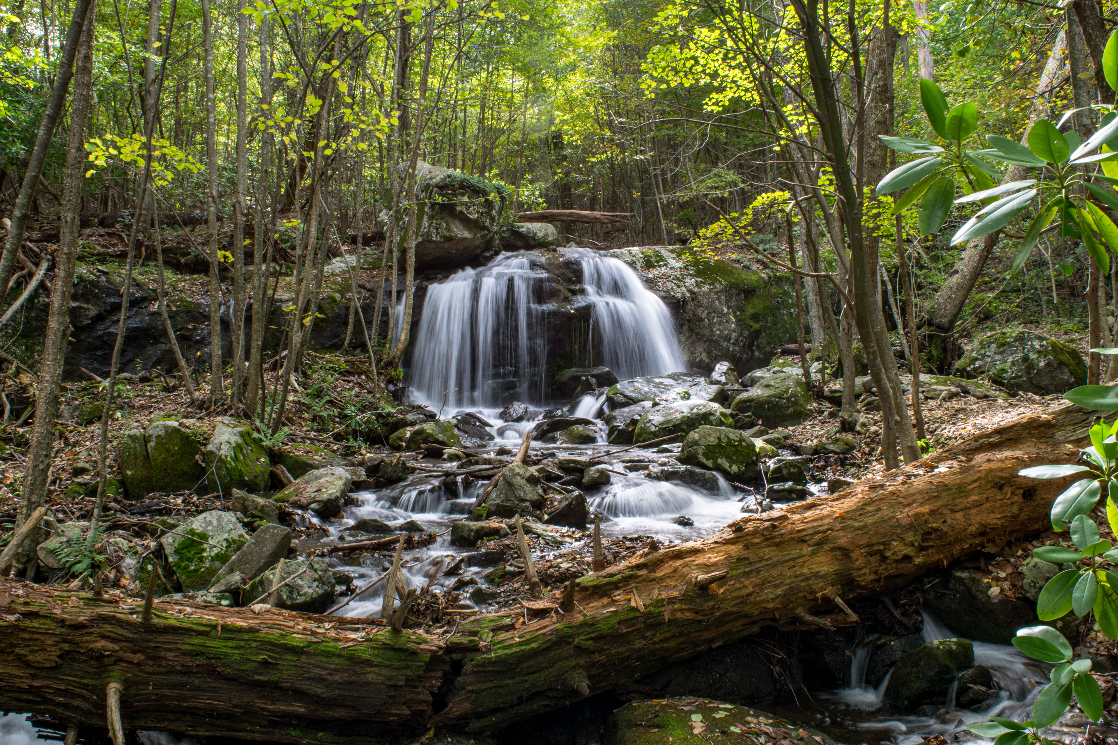 Shenandoah NP, VA