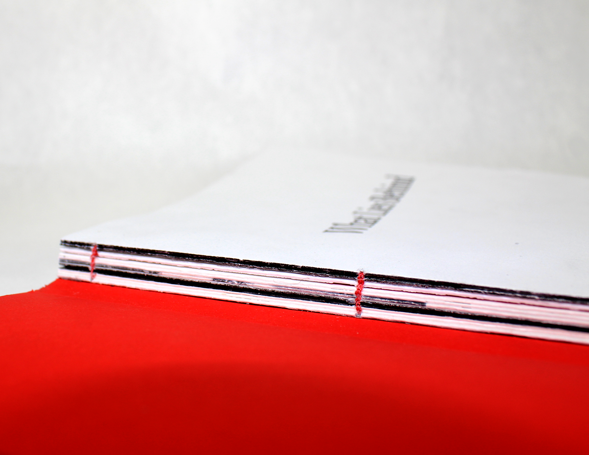 Coptic-stitch binding with a Swiss cover, creating a pleasing lay-flat experience.